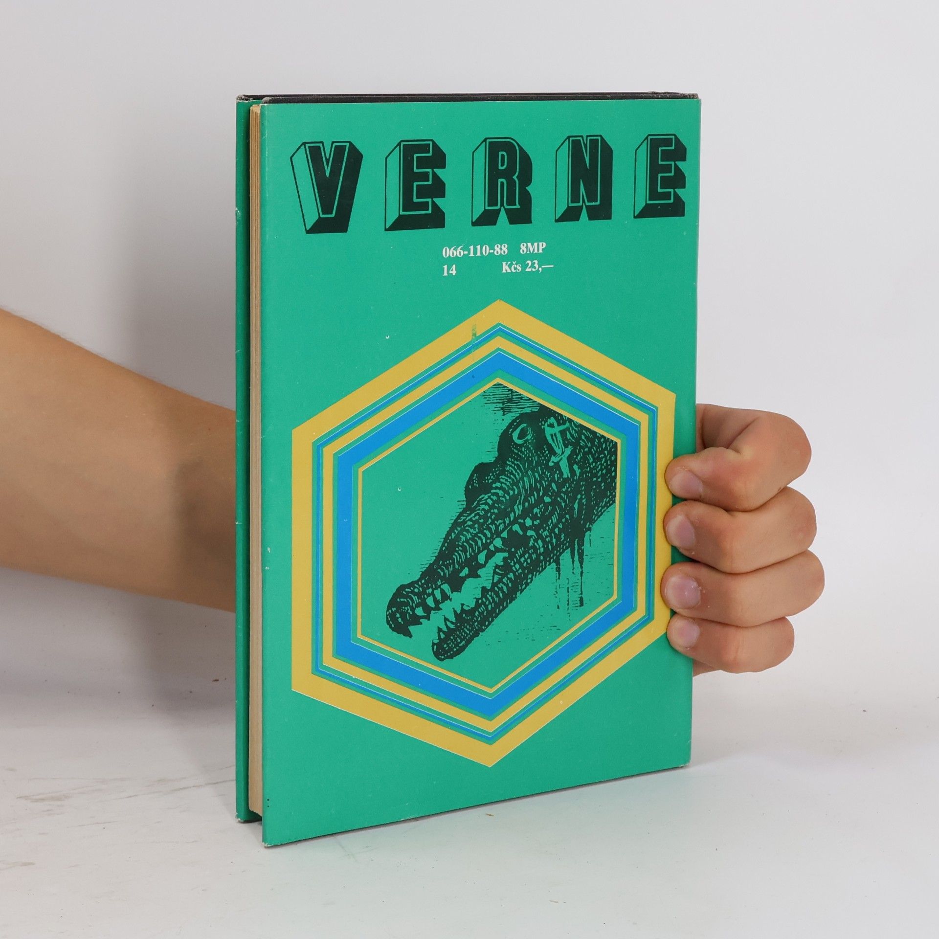 Jules Verne 800 míľ po Amazone