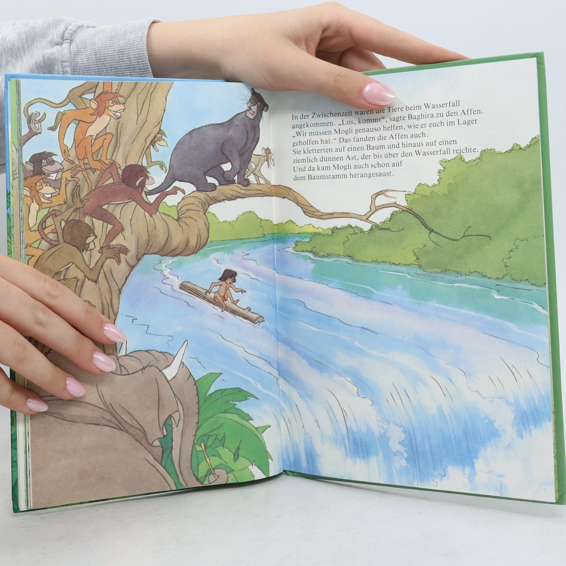 Autores varios Moglis Abenteuer im Dschungel