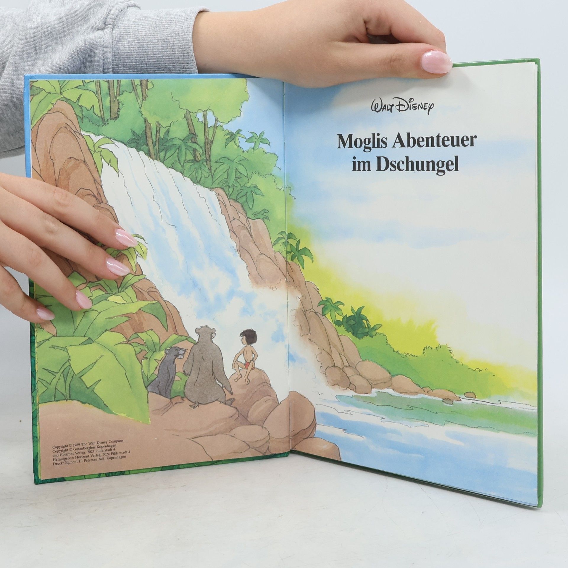 Autores varios Moglis Abenteuer im Dschungel