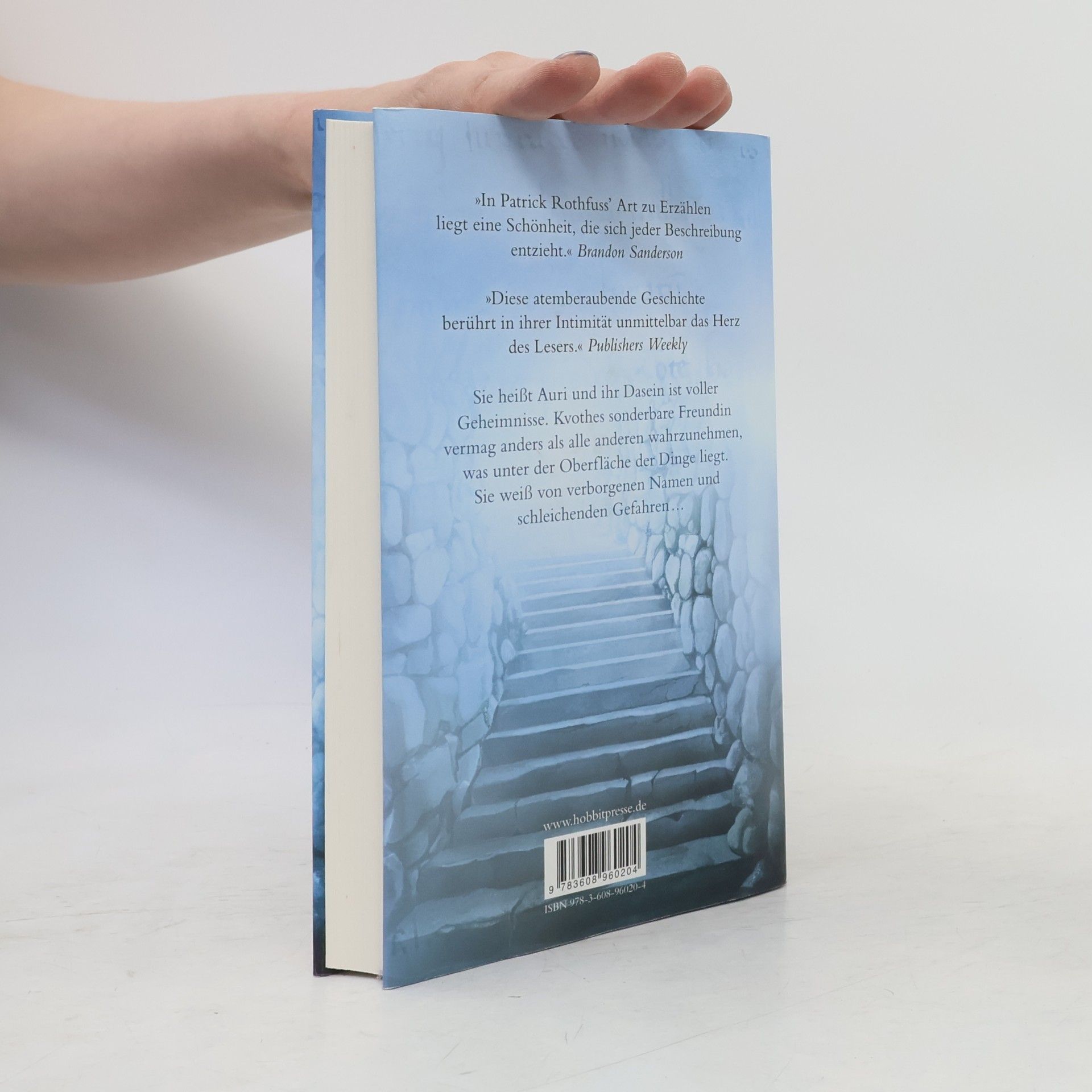 Patrick Rothfuss Die Musik der Stille