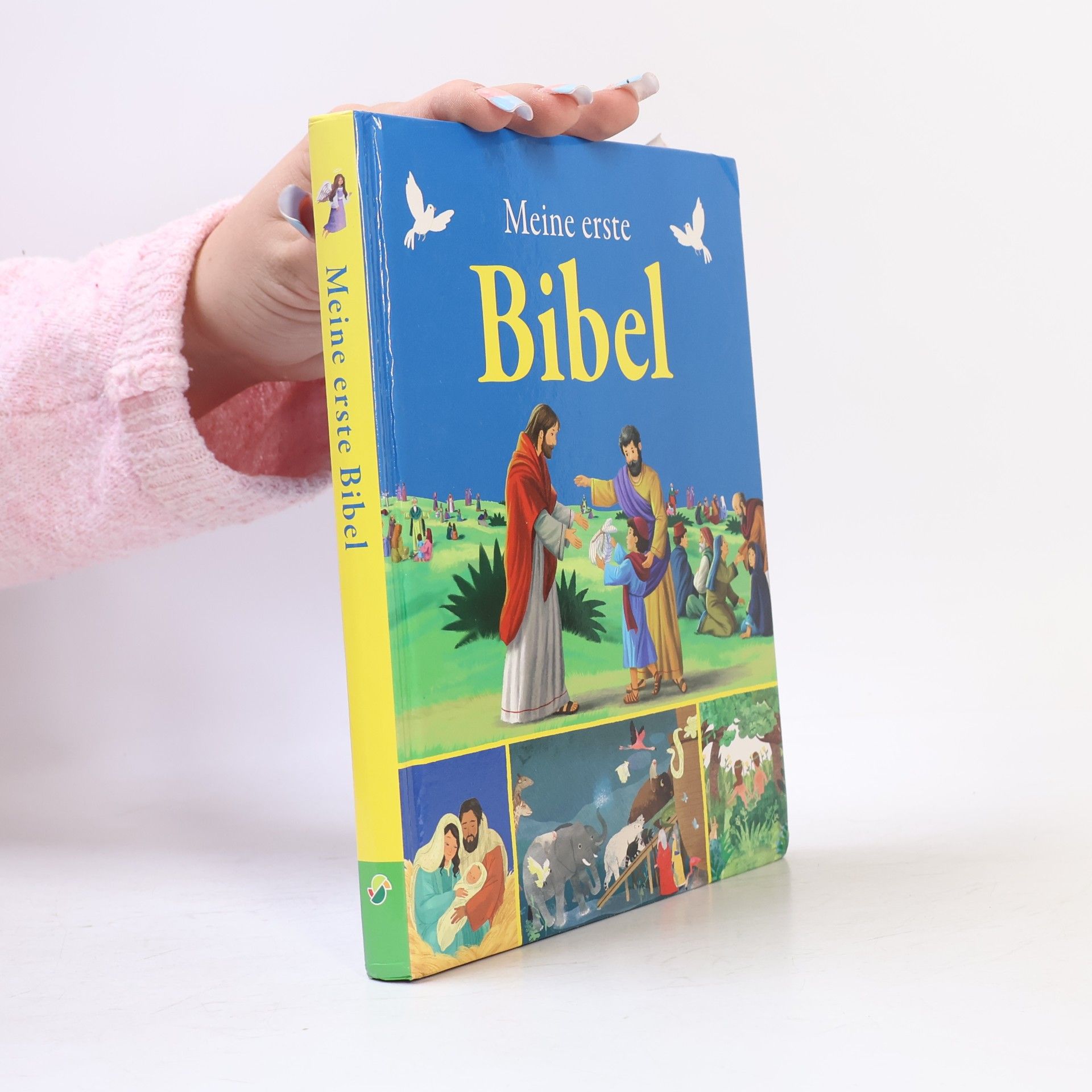 Rachel Moss Meine erste Bibel