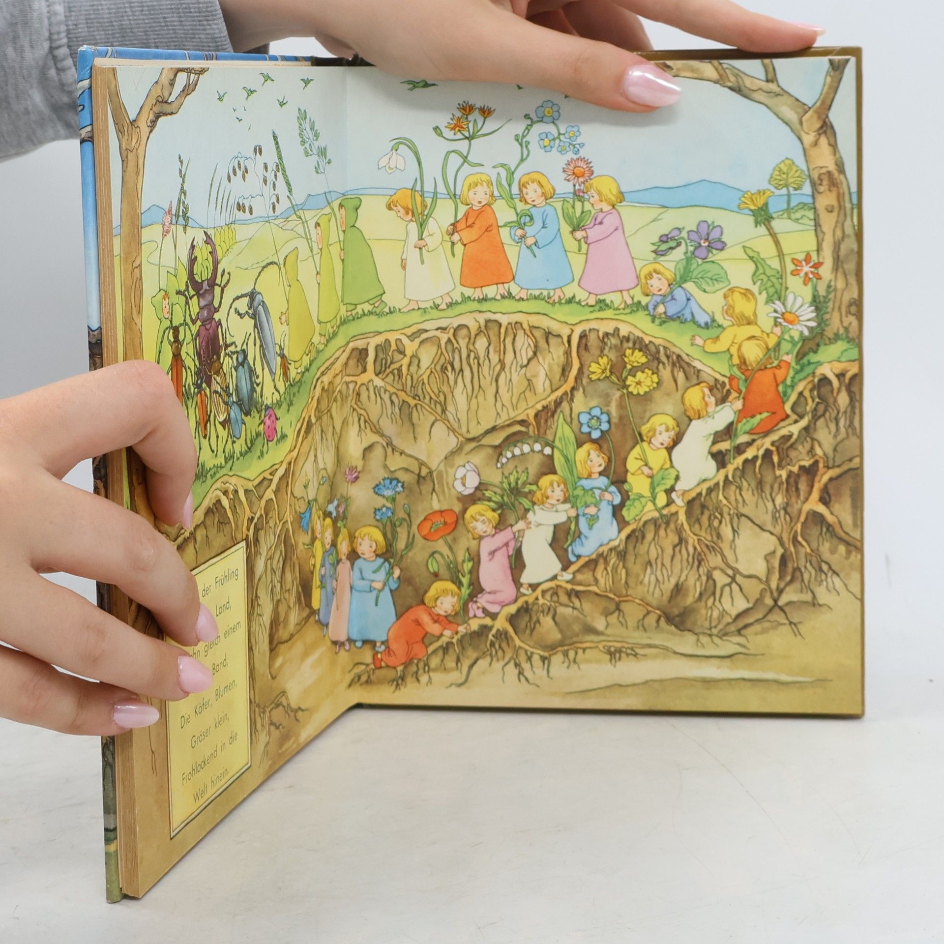 Sibylle von Olfers Etwas von den Wurzelkindern