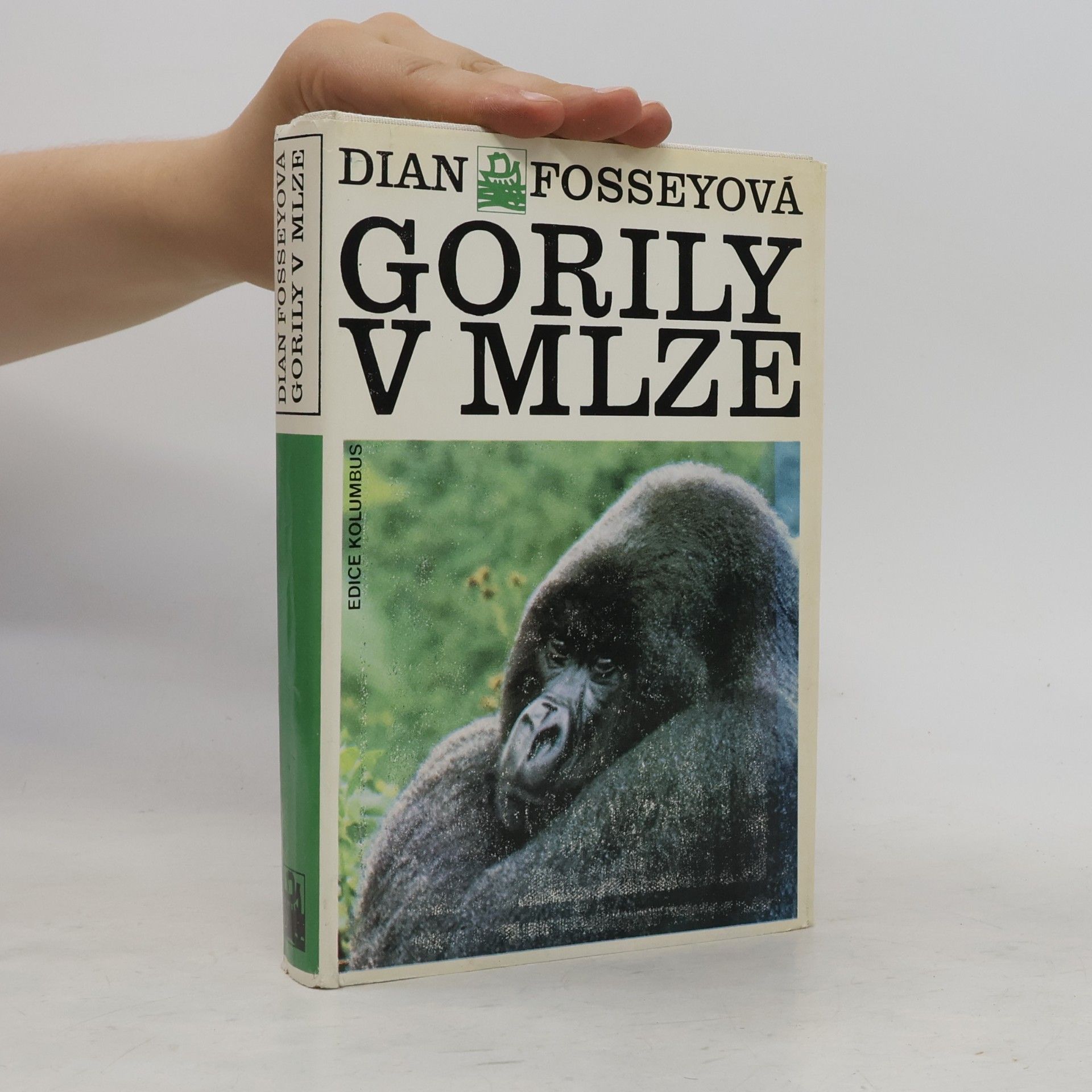 Dian Fossey Gorily v mlze