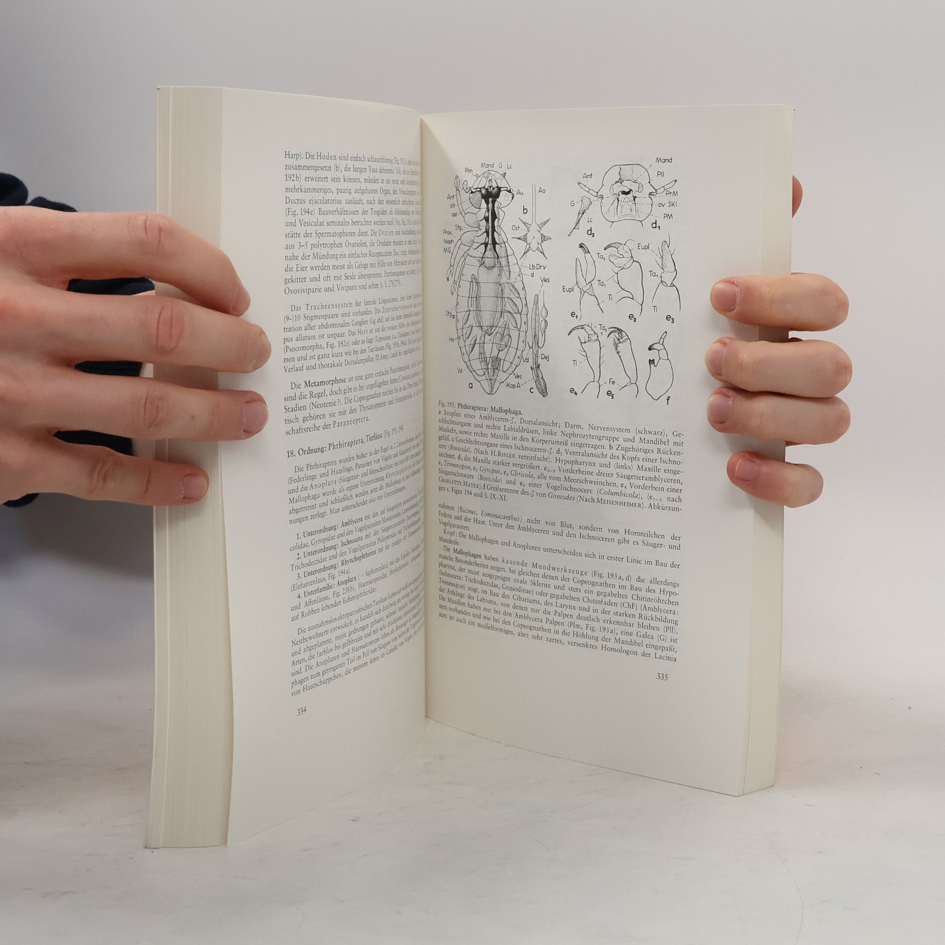 Hermann Weber Grundriß der Insektenkunde - Studienausgabe - Völlig neu bearbeitet