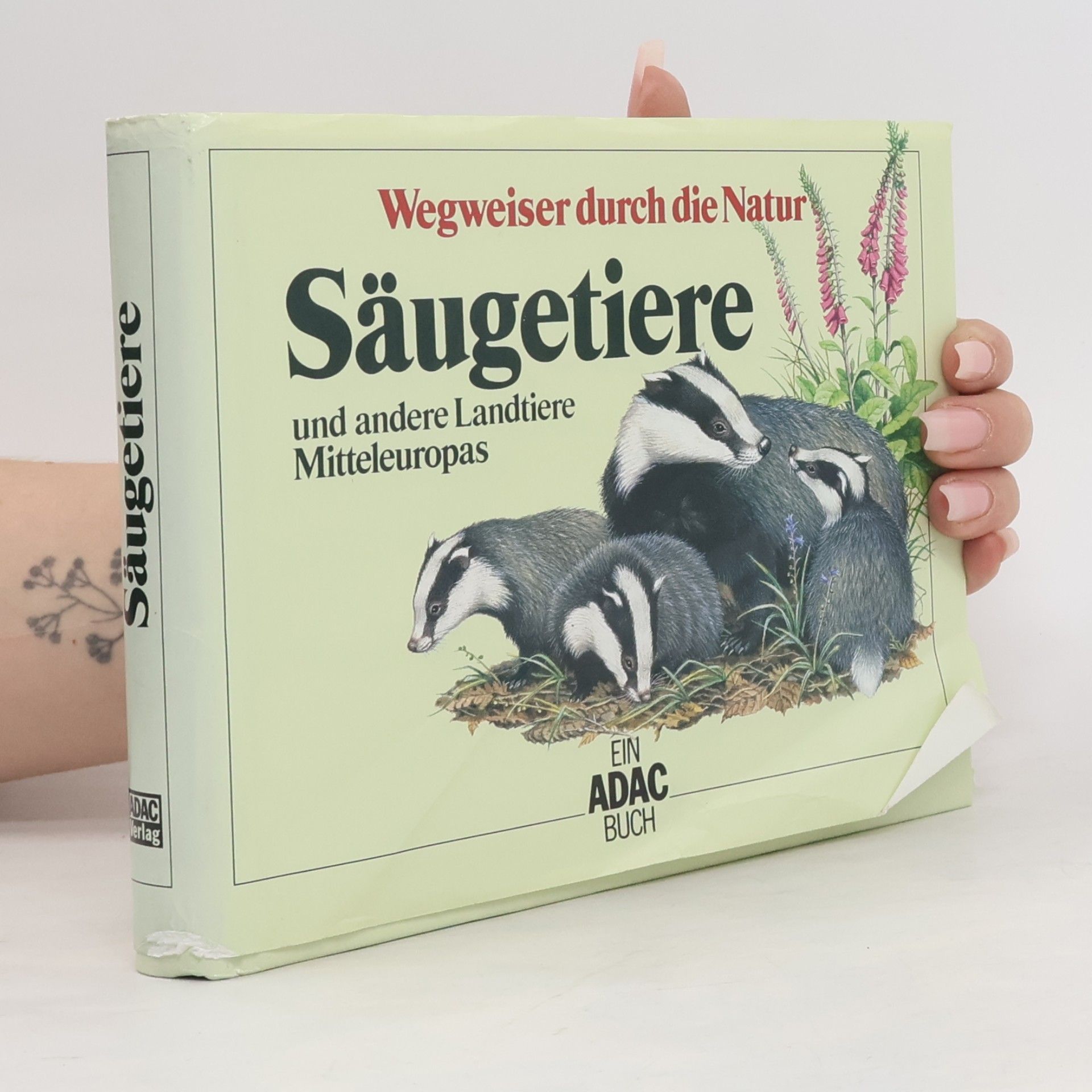 Friedrich Dieterlen Säugetiere und andere Landtiere Mitteleuropas