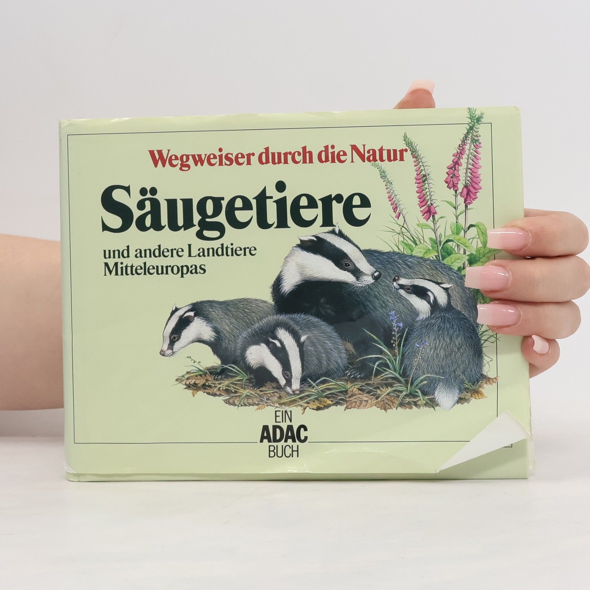 Friedrich Dieterlen Säugetiere und andere Landtiere Mitteleuropas