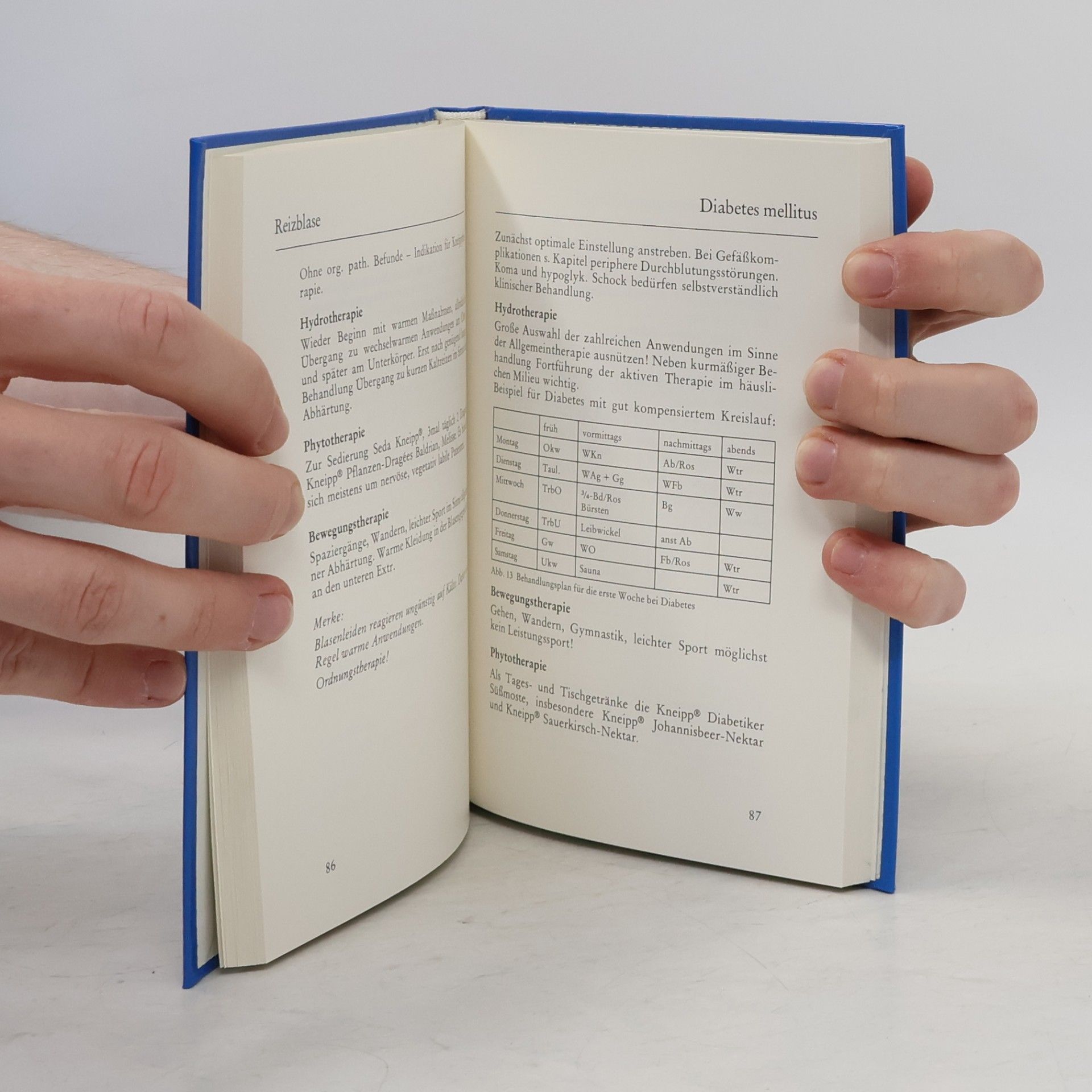 Autorenkollektiv Vademecum Pro Medico 1980
