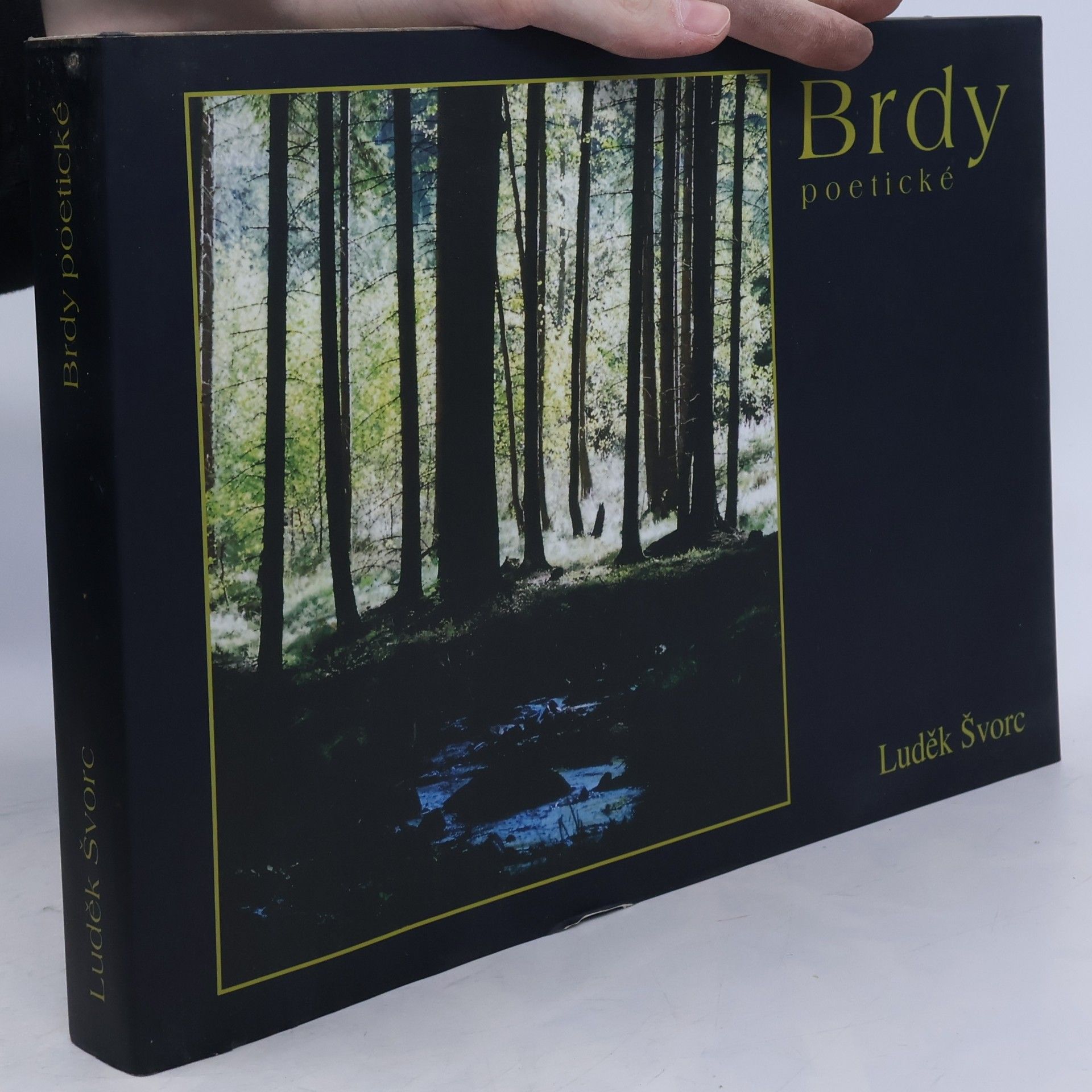 Brdy poetické