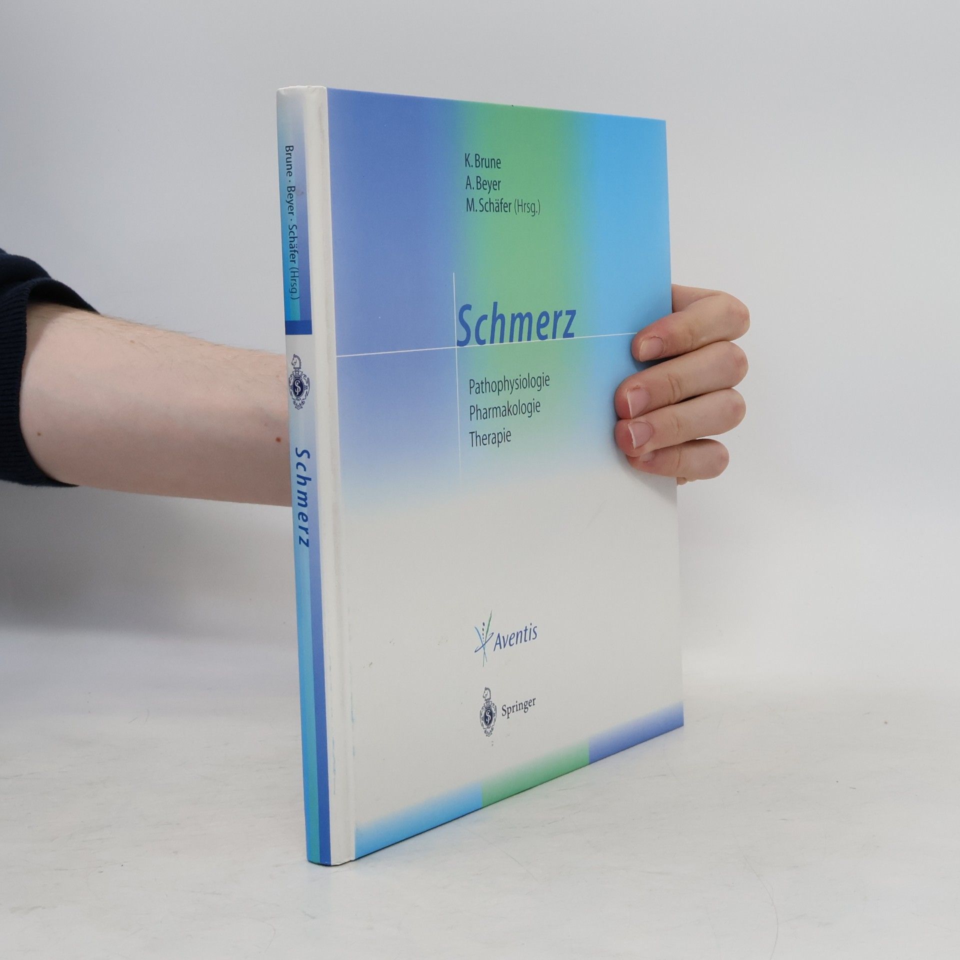 Michael Schäfer Schmerz. Patopsychologie. Pharmakologie. Terapie.