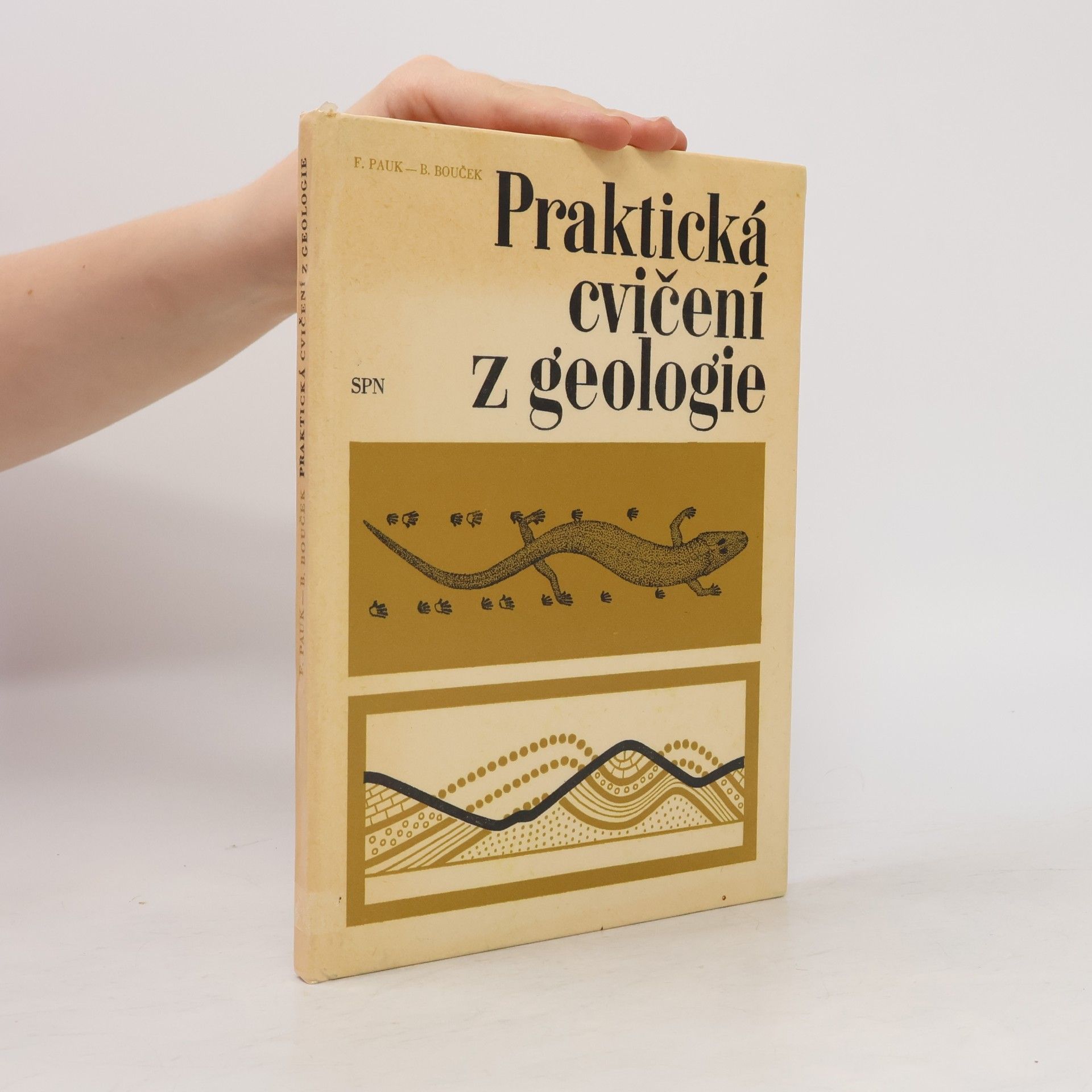 AA.VV. Praktická cvičení z geologie