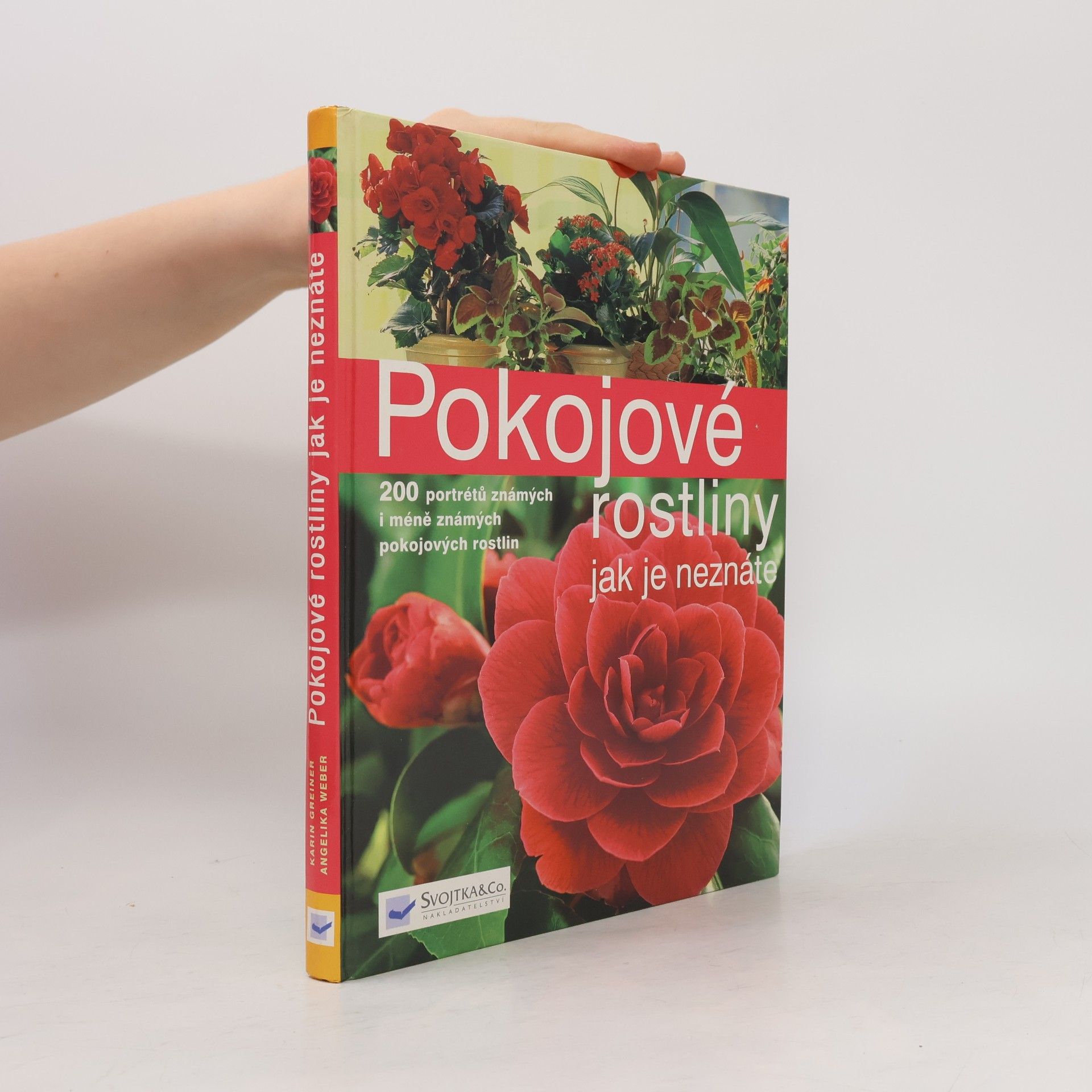 Annette Hempfling Pokojové rostliny jak je neznáte