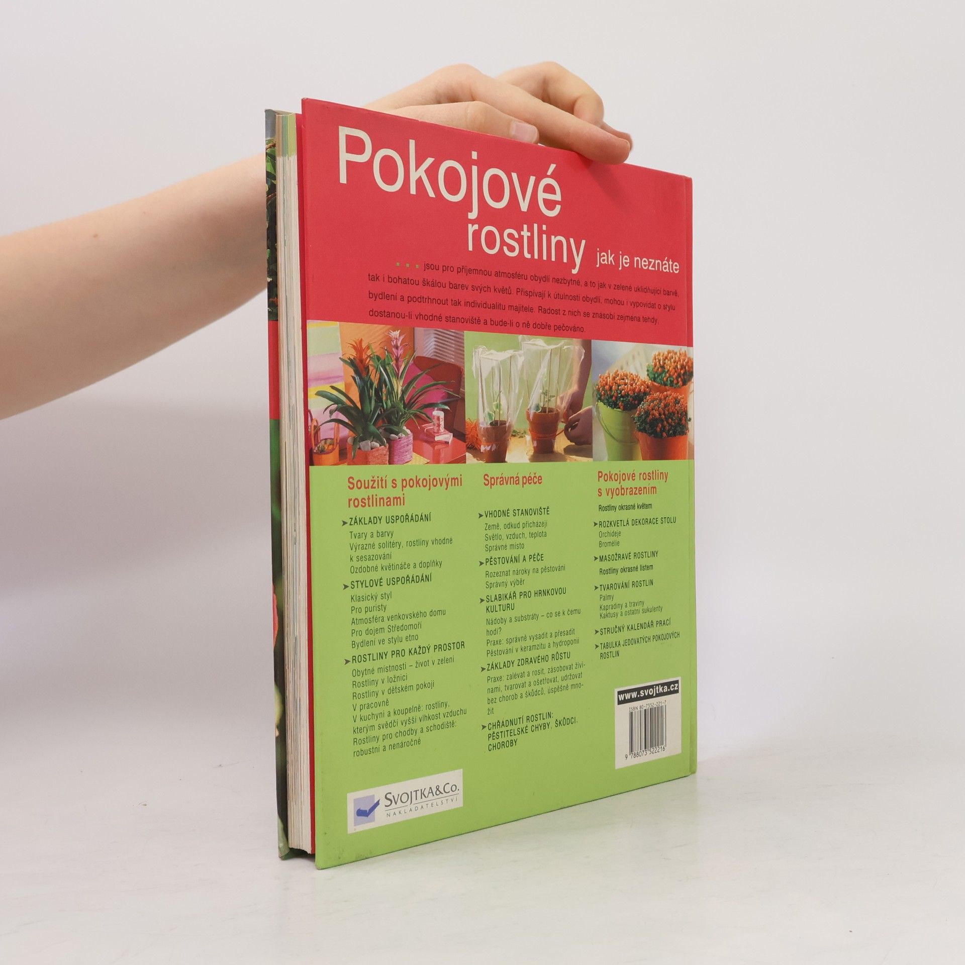 Karin Greiner Pokojové rostliny jak je neznáte