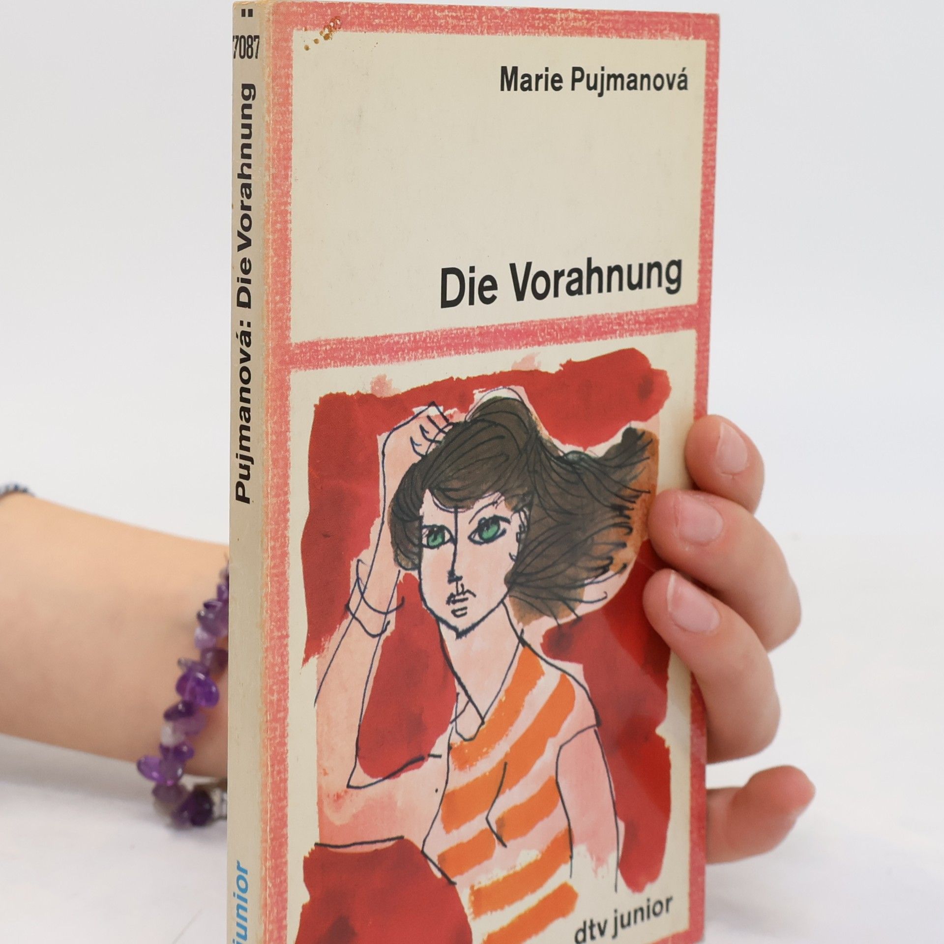 Marie Pujmanová dtv junior: Die Vorahnung