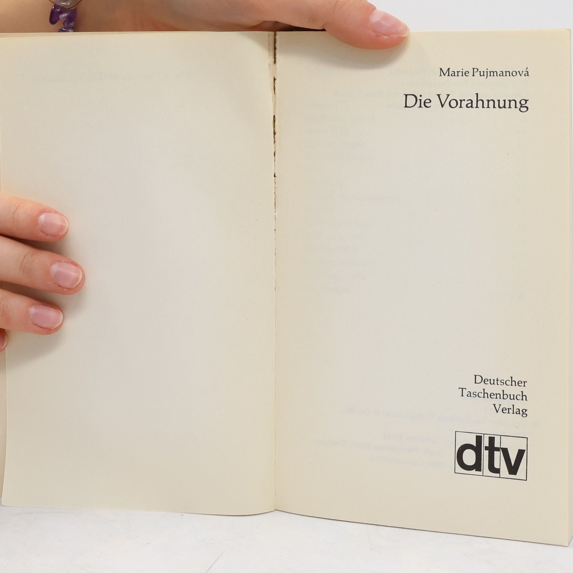 Marie Pujmanová dtv junior: Die Vorahnung