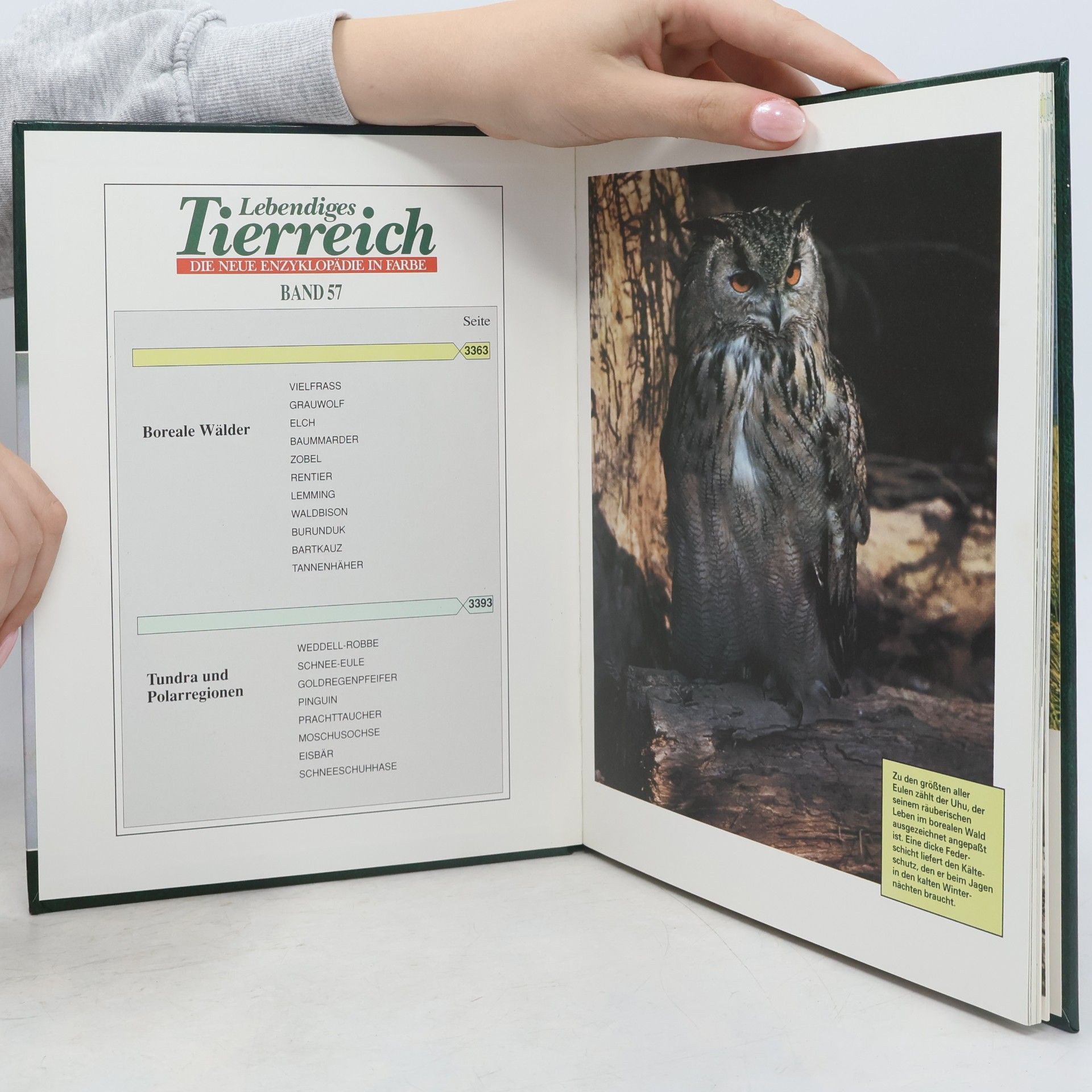 Kolektiv autorů Lebendiges Tierreich 57
