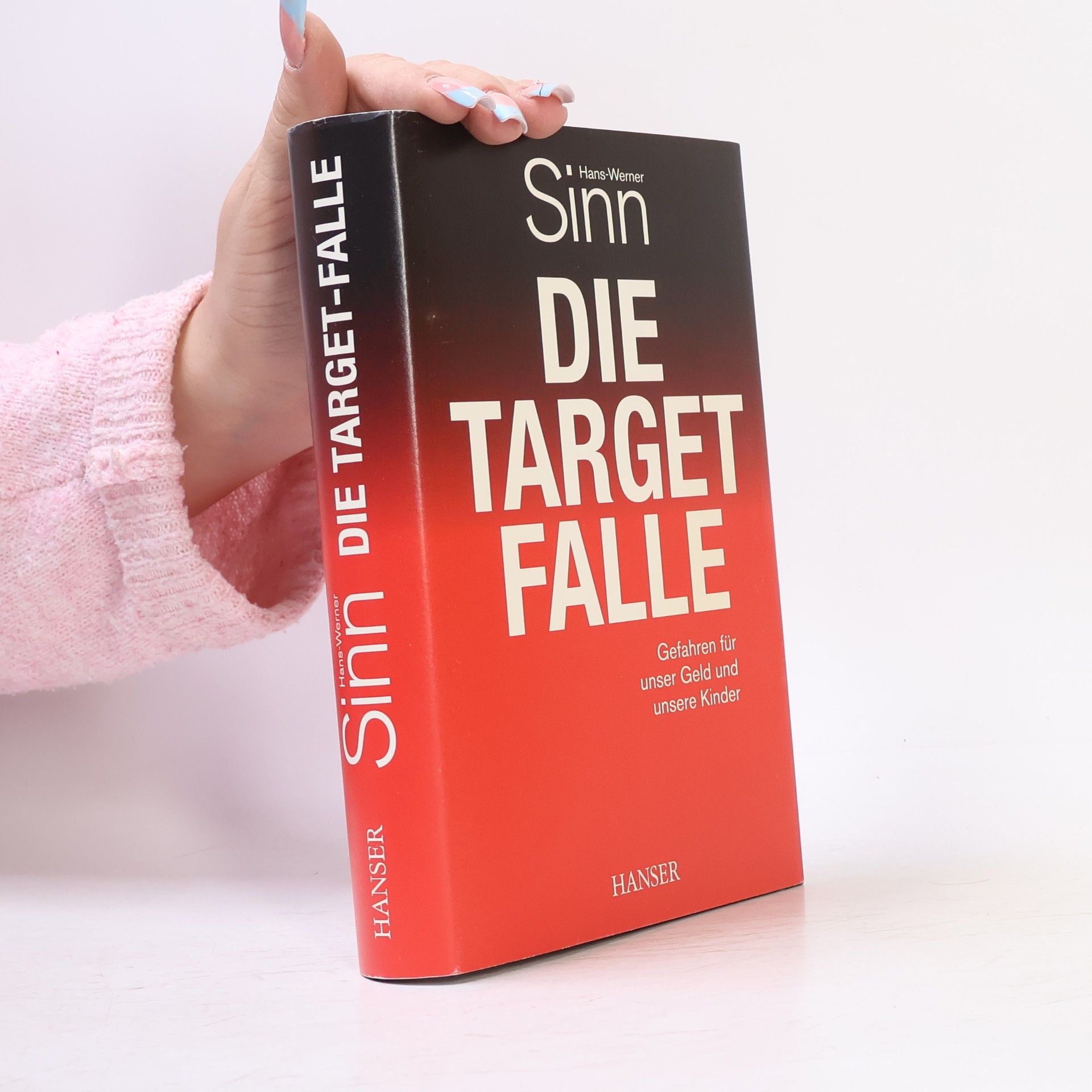 Werner Sinn Die Target Falle