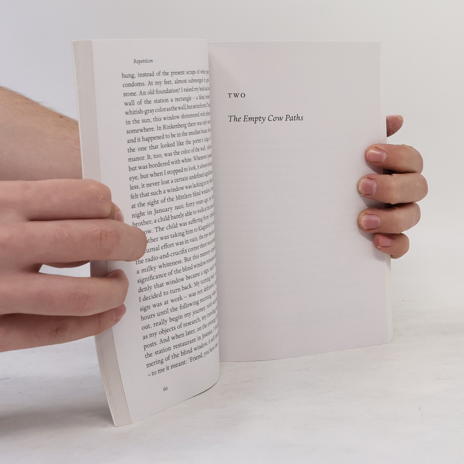Peter Handke Repetition