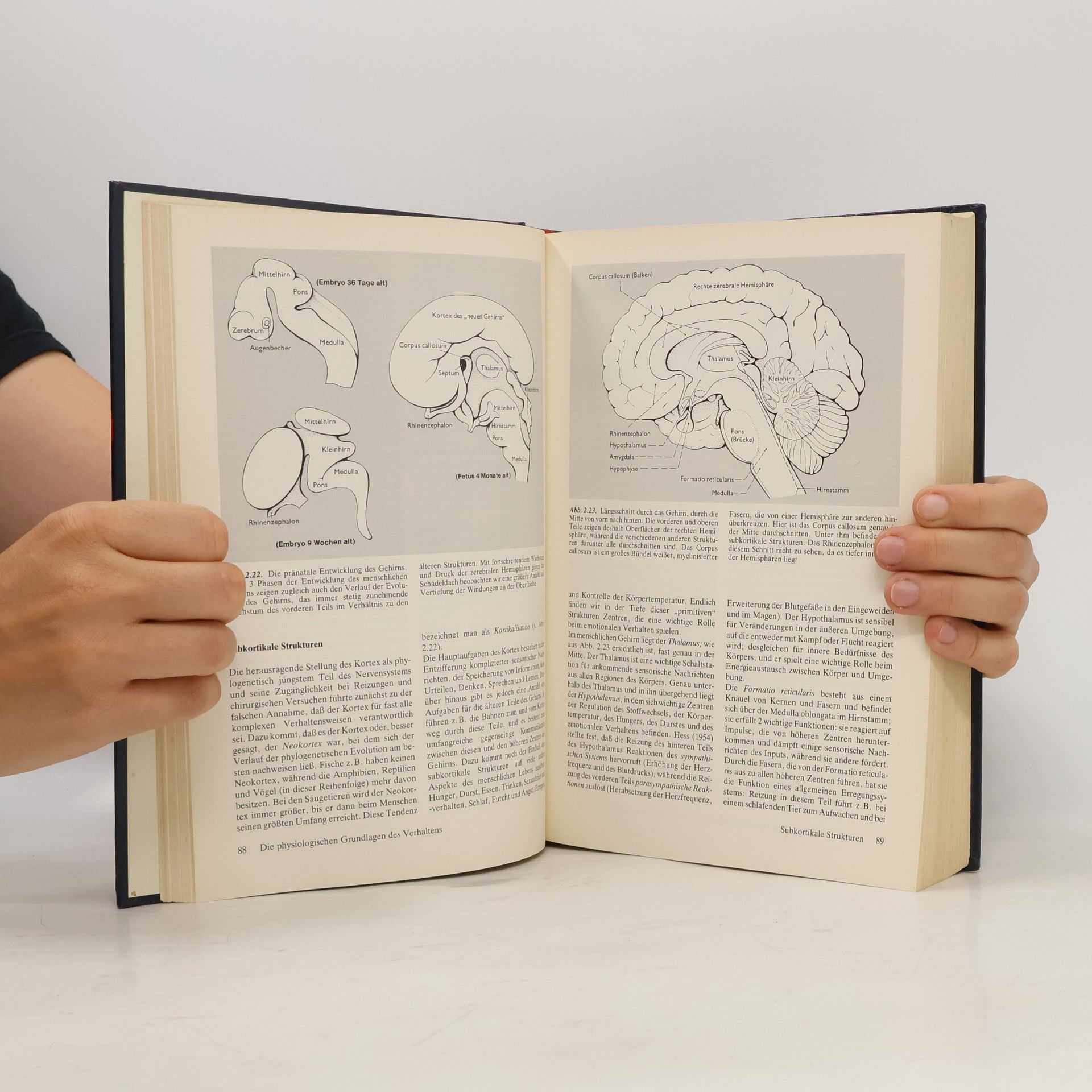 Philip Zimbardo Psychologie