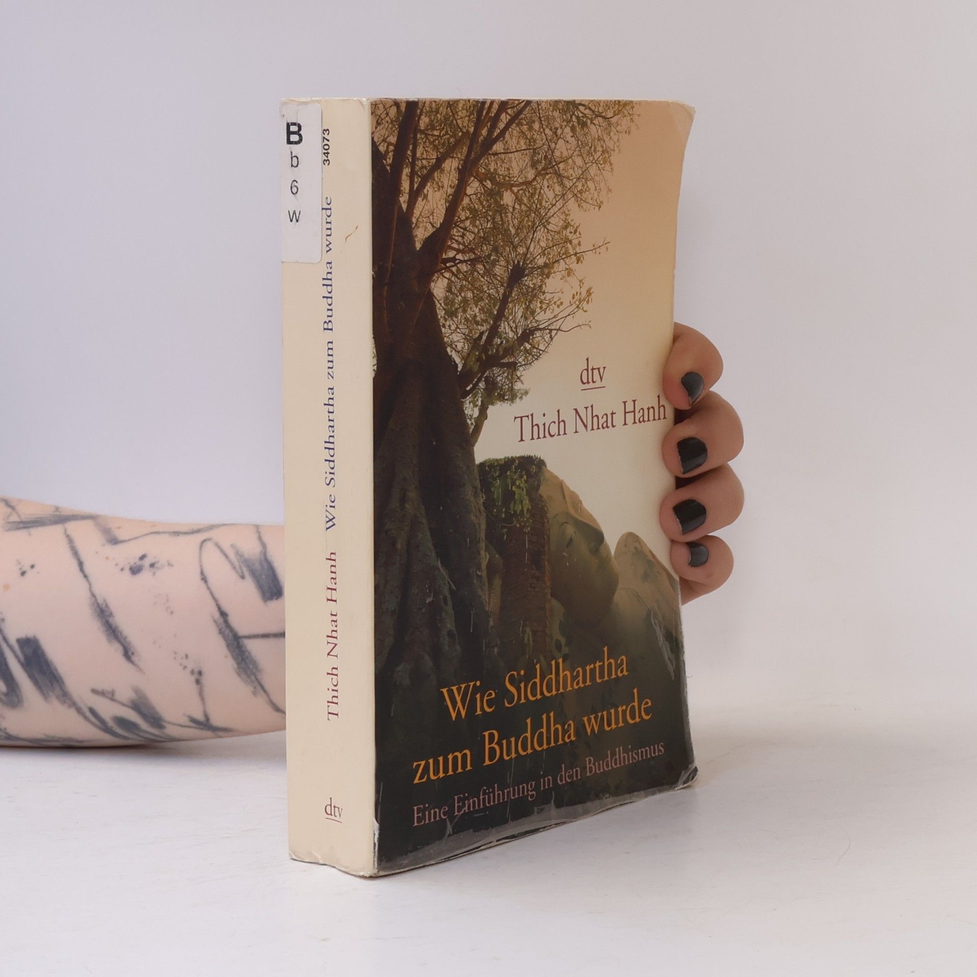 Hạnh Nhat Wie Siddhartha zum Buddha wurde