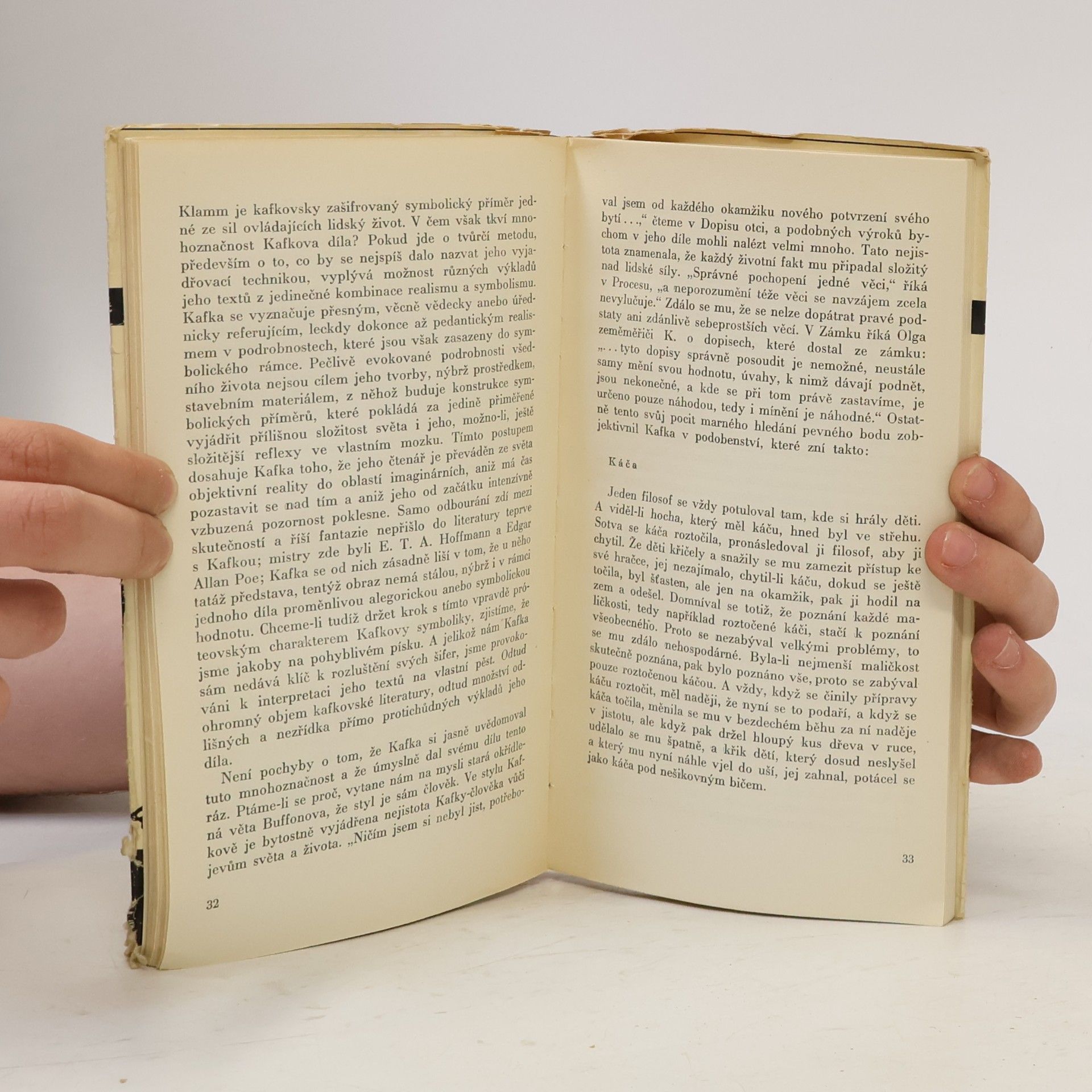 Eduard Goldstücker Na téma Franz Kafka
