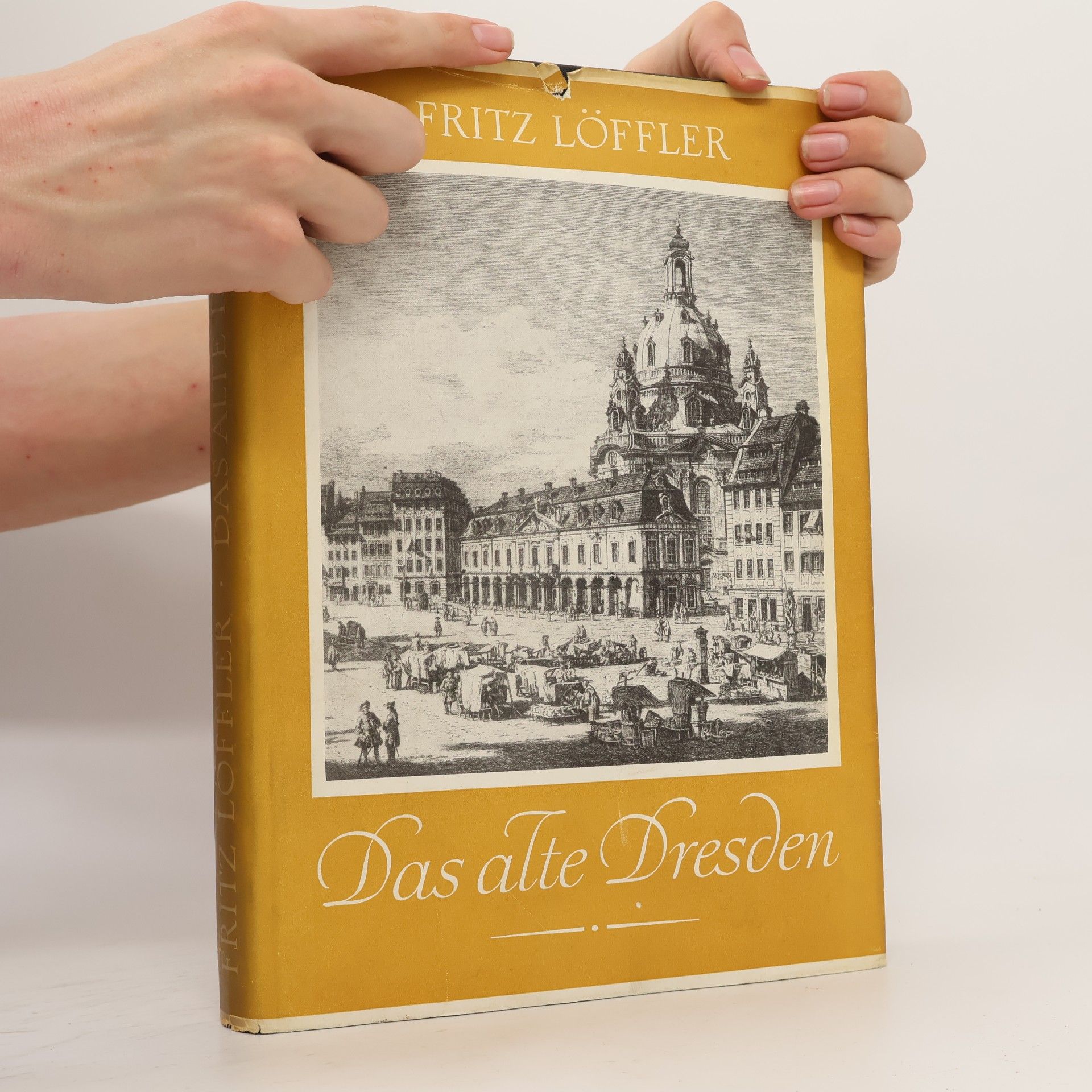 Fritz Löffler Das alte Dresden