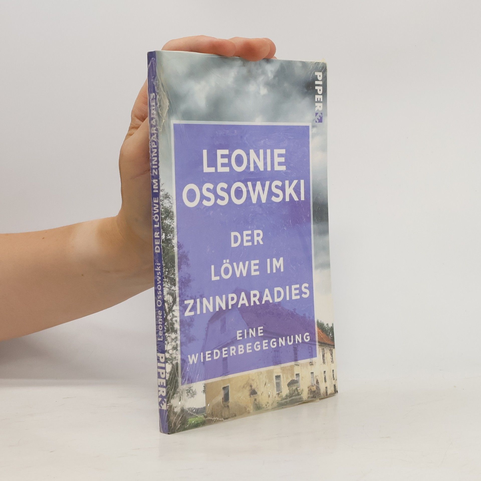 Der Löwe im Zinnparadies