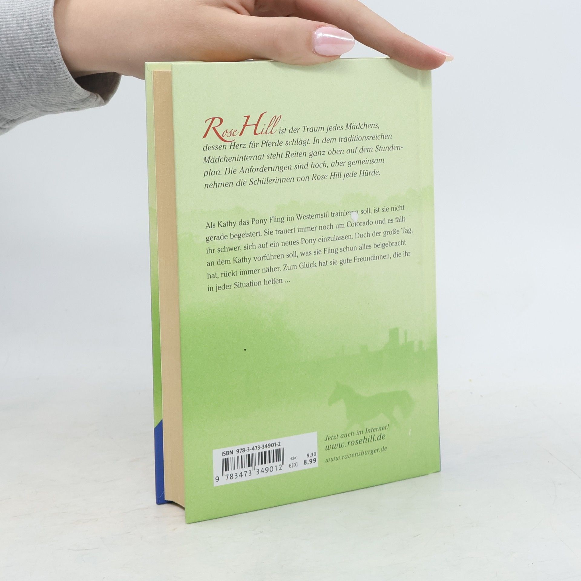 Lauren Brooke Rose Hill - Neuanfang mit Hindernissen