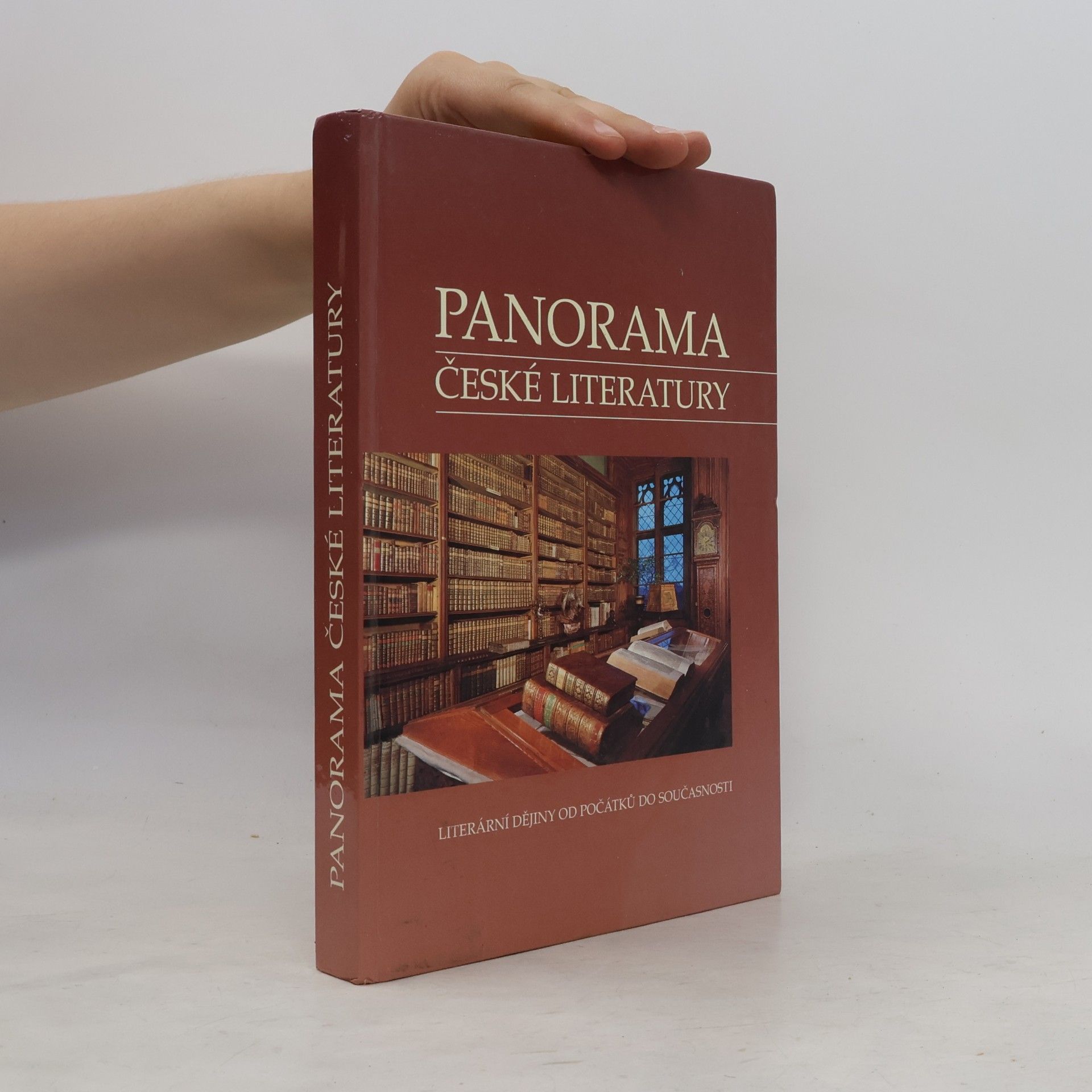 Josef Galík Panorama české literatury. Literární dějiny od počátků do současnosti