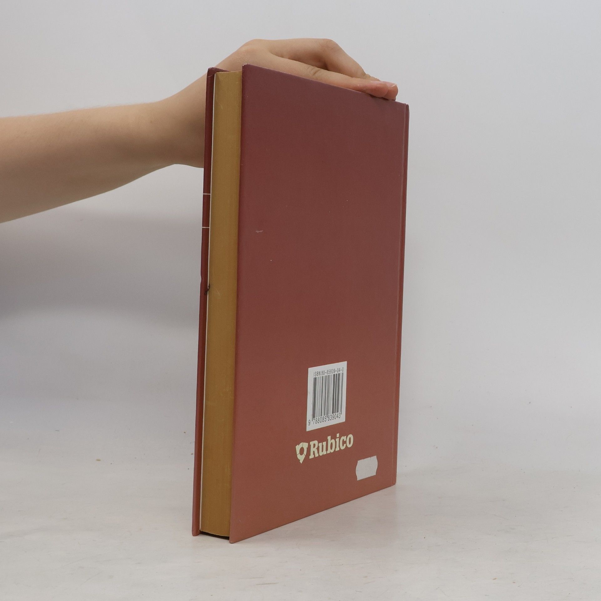 Autorenkollektiv Panorama české literatury. Literární dějiny od počátků do současnosti
