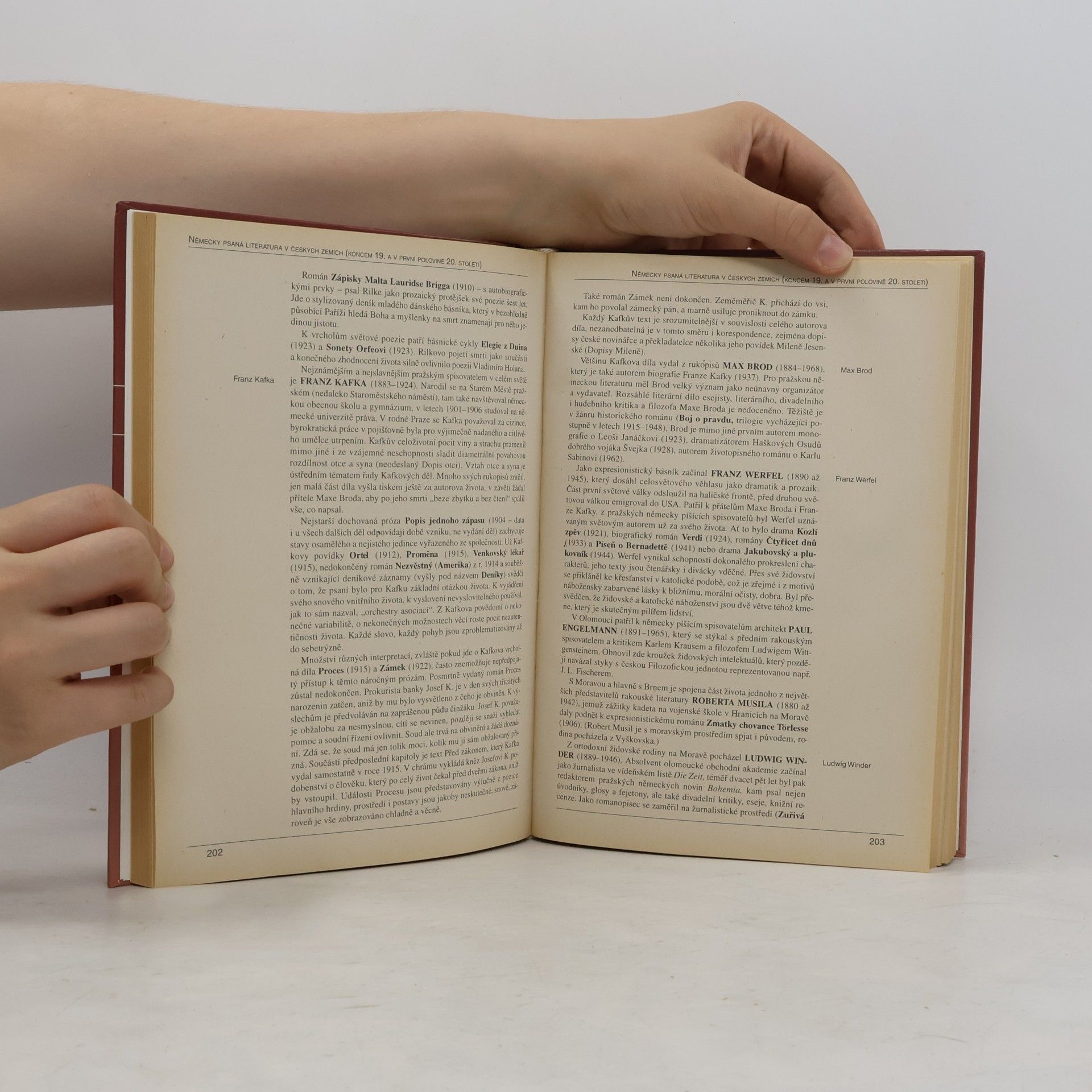 Autorenkollektiv Panorama české literatury. Literární dějiny od počátků do současnosti