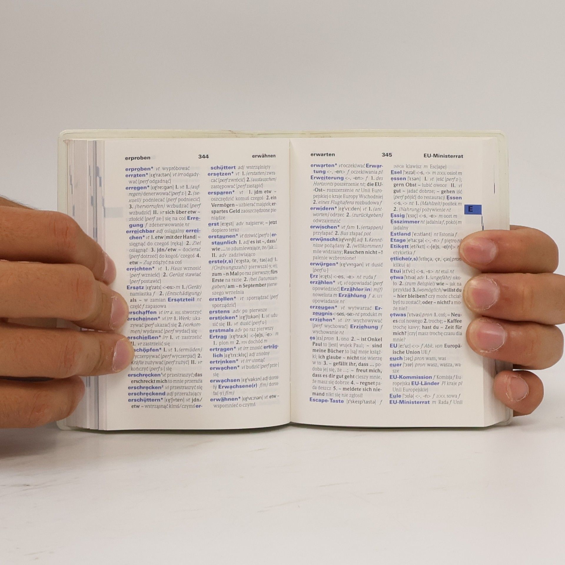 PONS Praxiswörterbuch Polnisch-Deutsch Deutsch-Polnisch - Plus Mini-Sprachführer