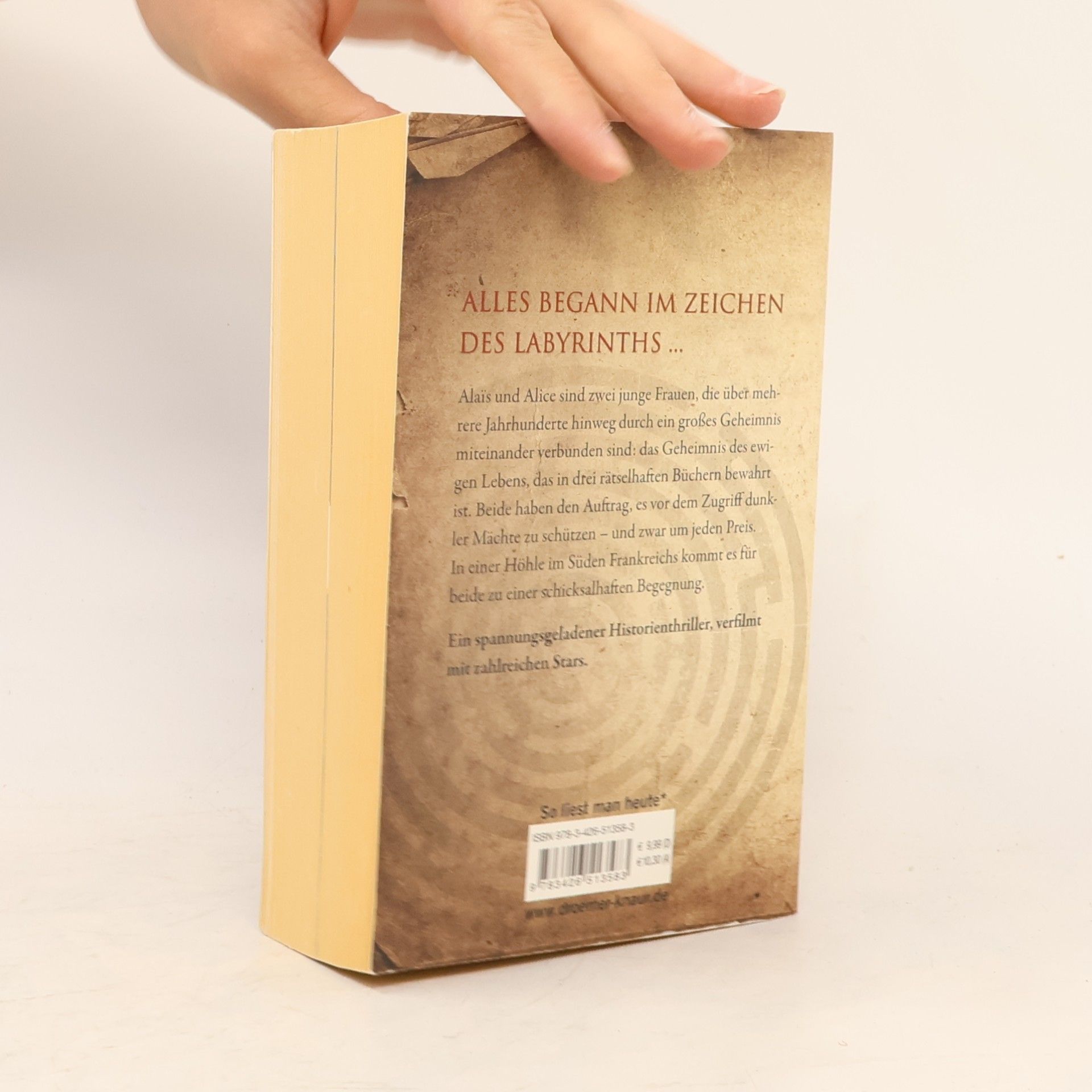 Kate Mosse Das verlorene Labyrinth