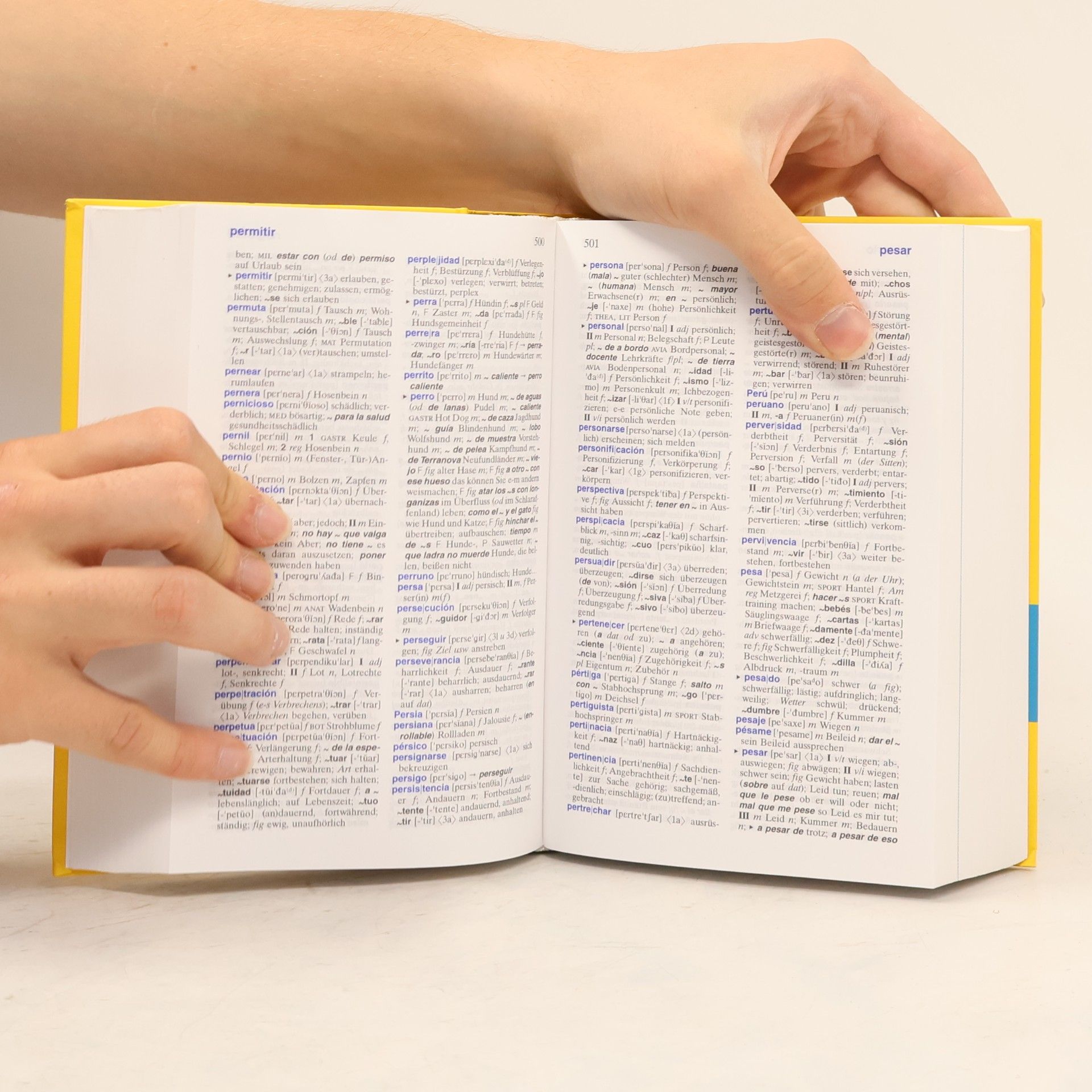 Various authors Langenscheidt Wörterbuch Spanisch
