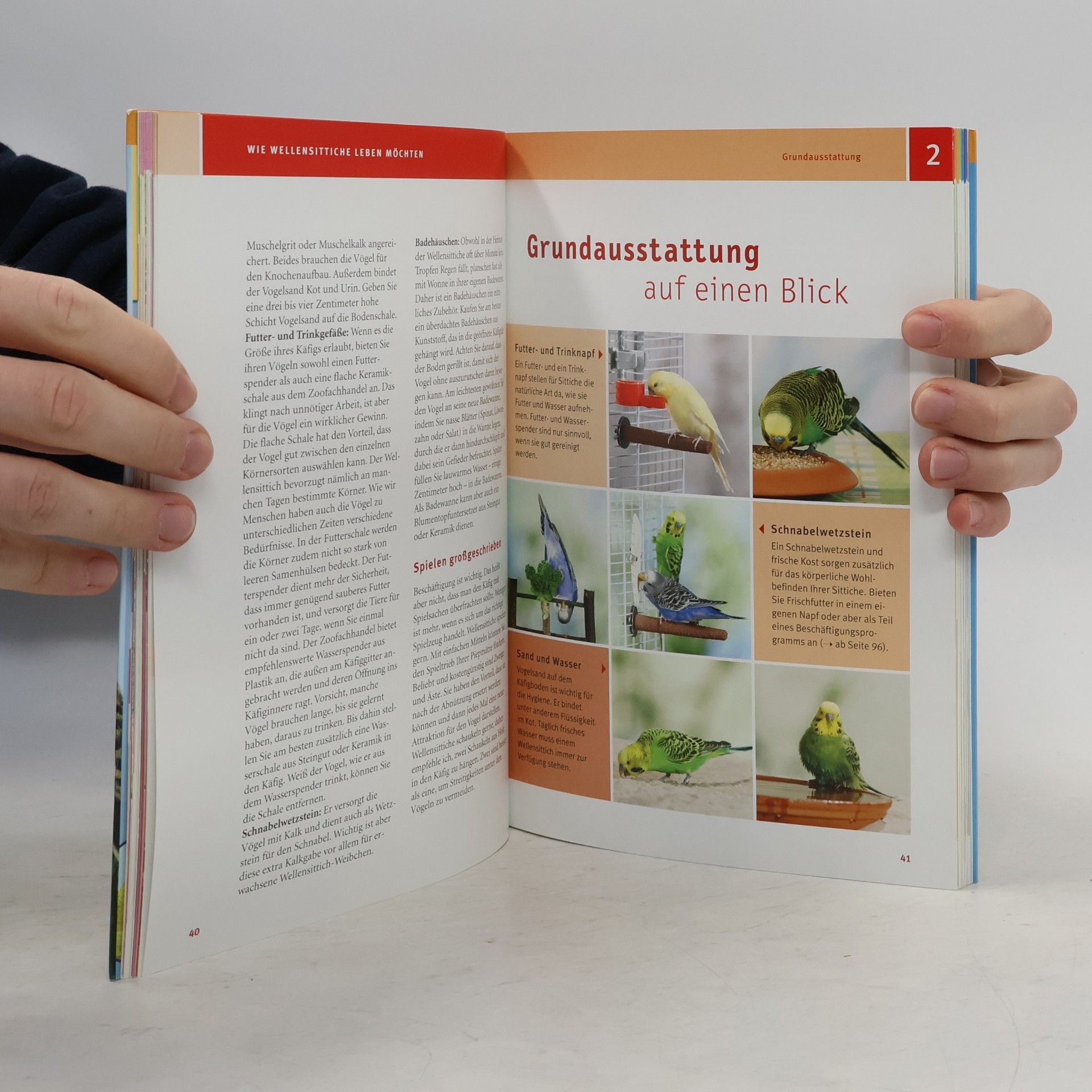 Immanuel Birmelin Mein Wellensittich