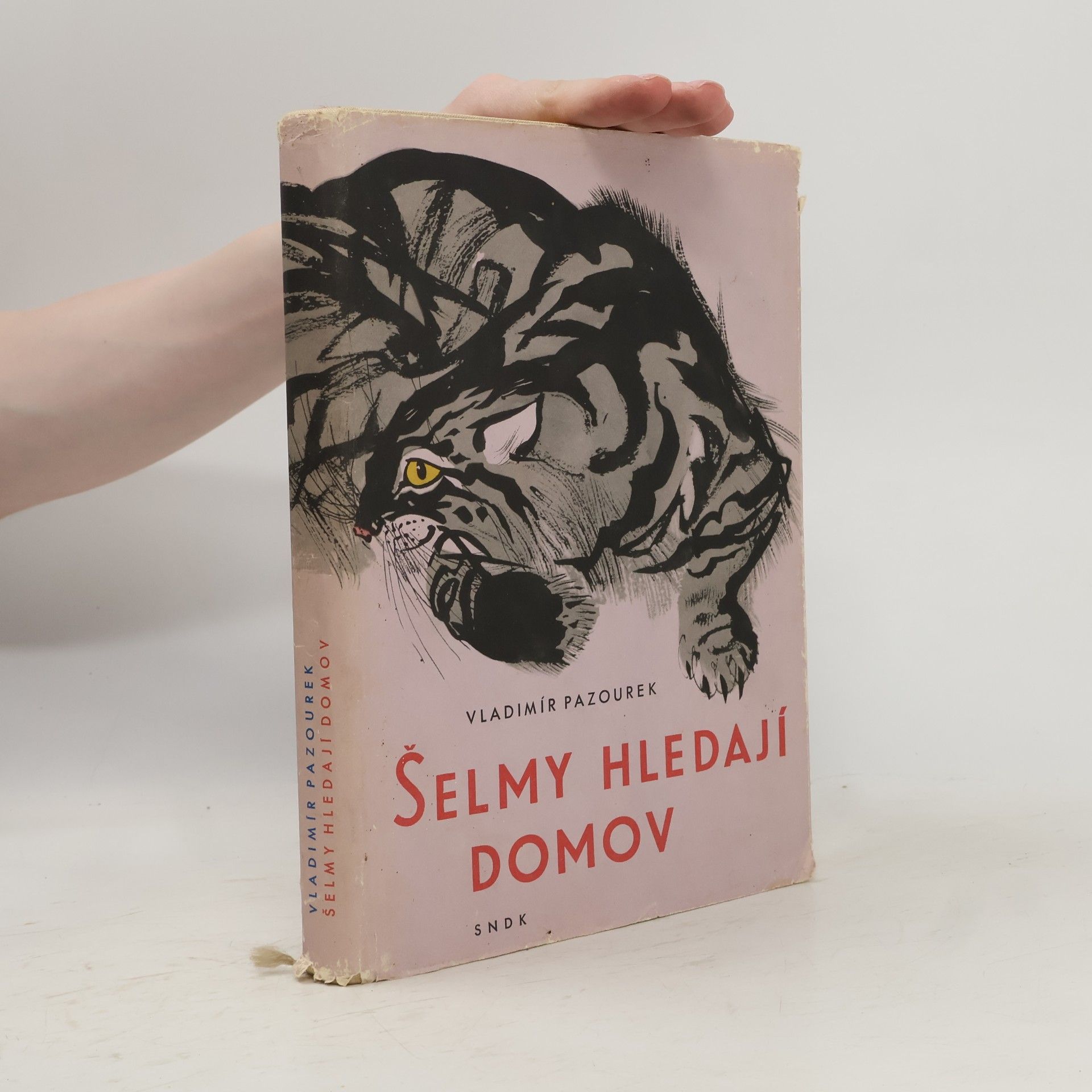 Vladimír Pazourek Šelmy hledají domov