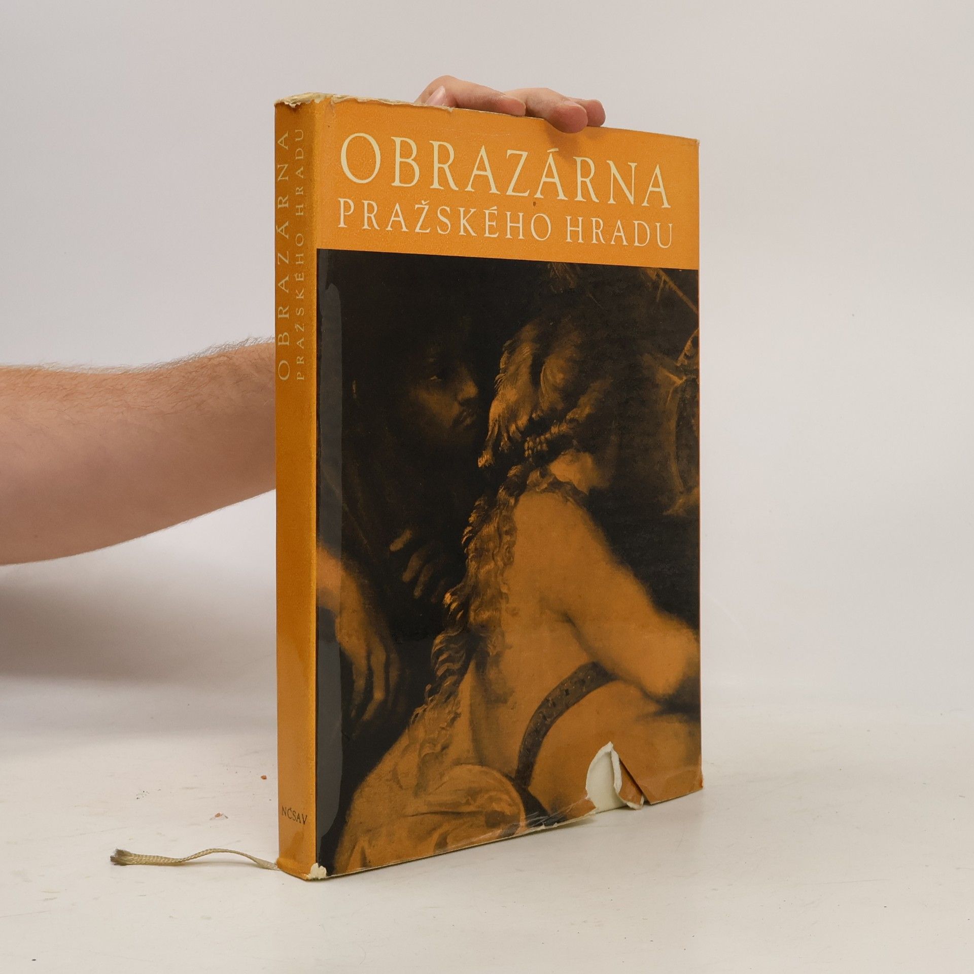Jaromír Neumann Obrazárna Pražského hradu