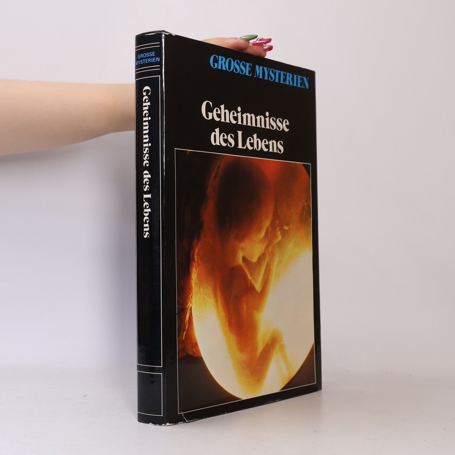 Autorenkollektiv Geheimnisse des Lebens