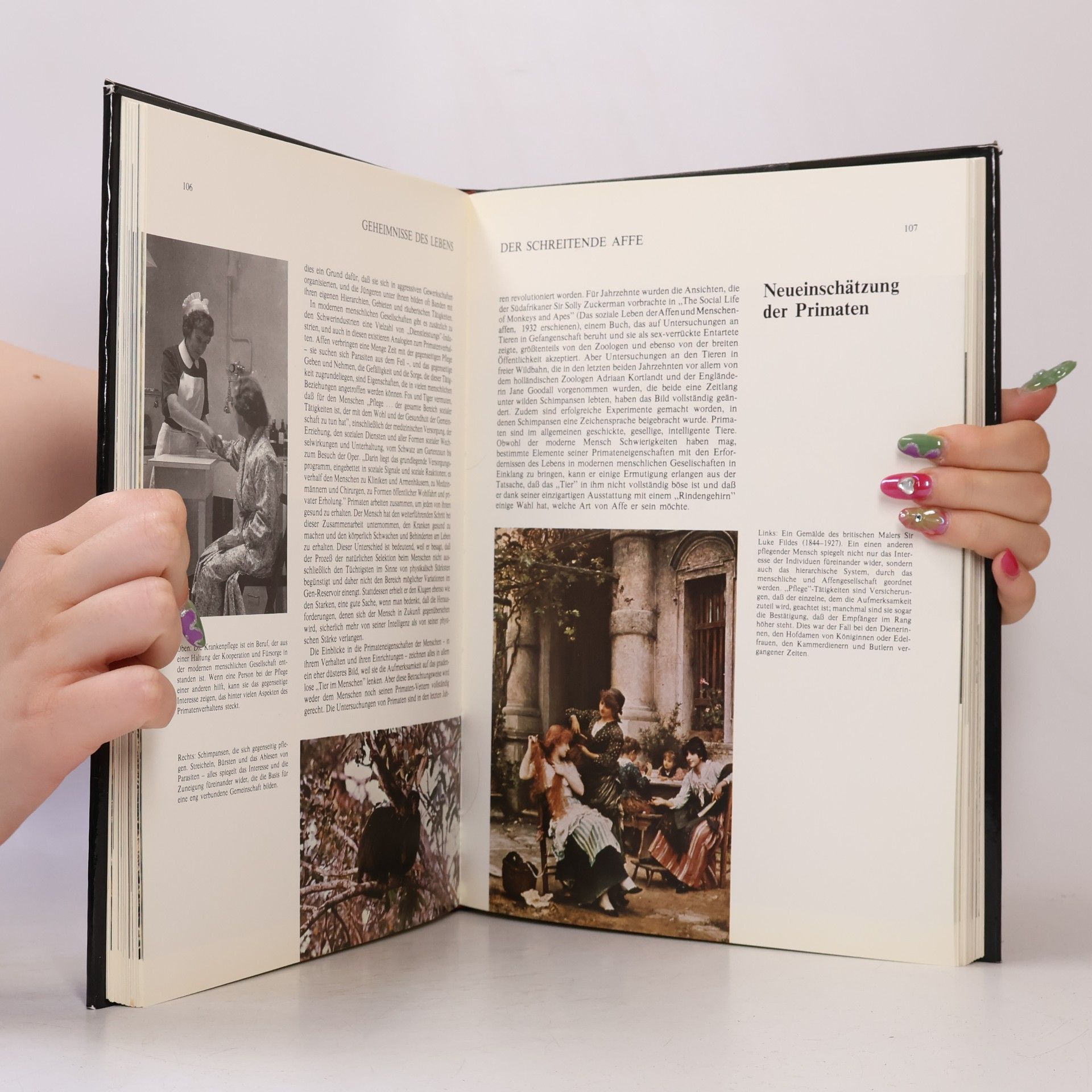 Autorenkollektiv Geheimnisse des Lebens