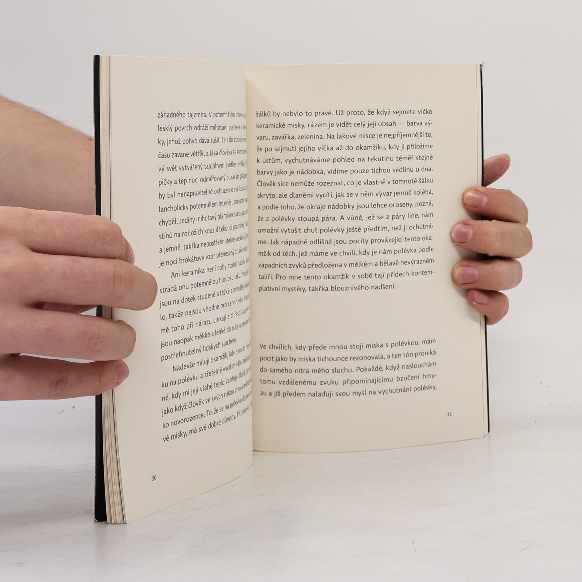 Junichiro Tanizaki Chvála stínů