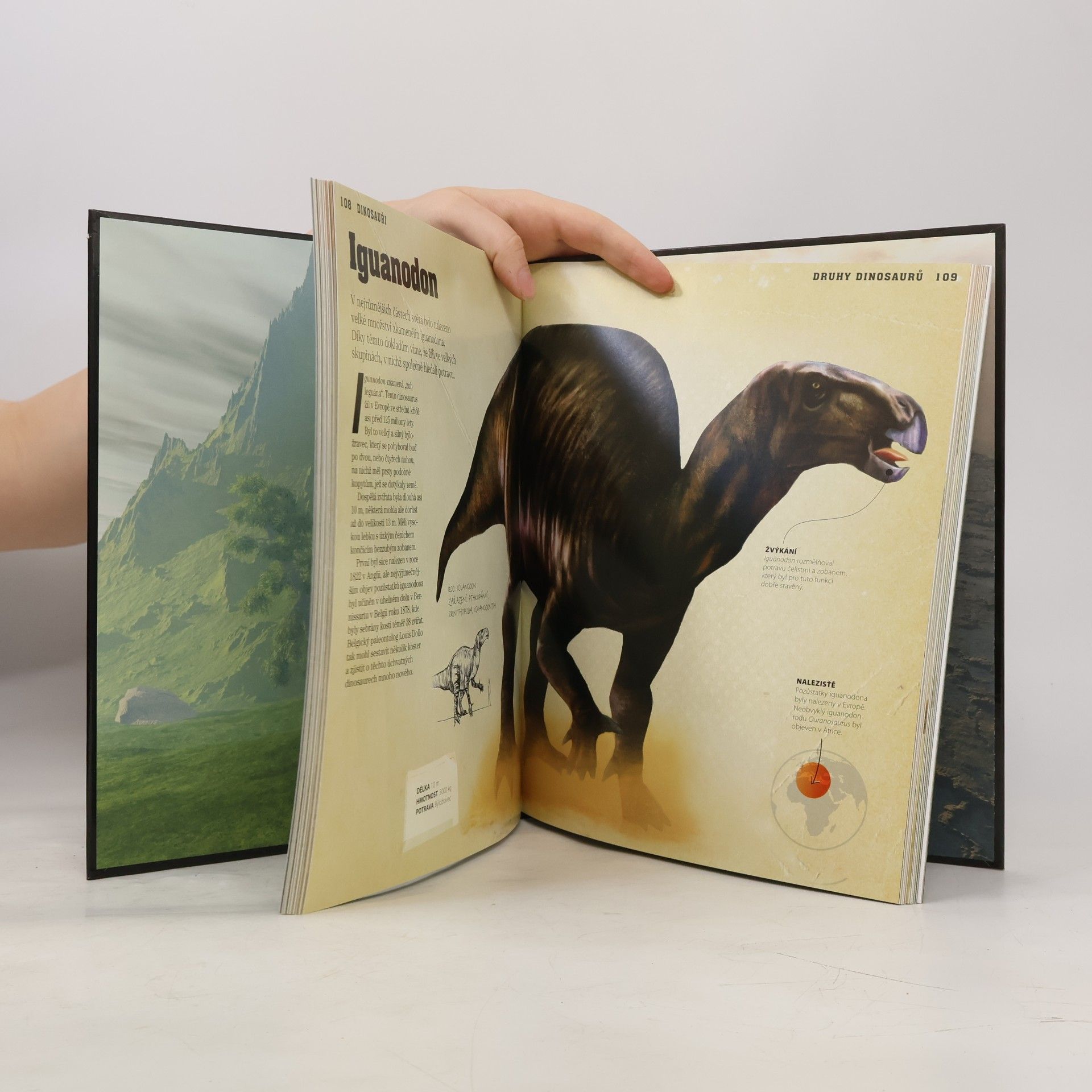 Autorenkollektiv Dinosauři - Objevuj prehistorický svět!