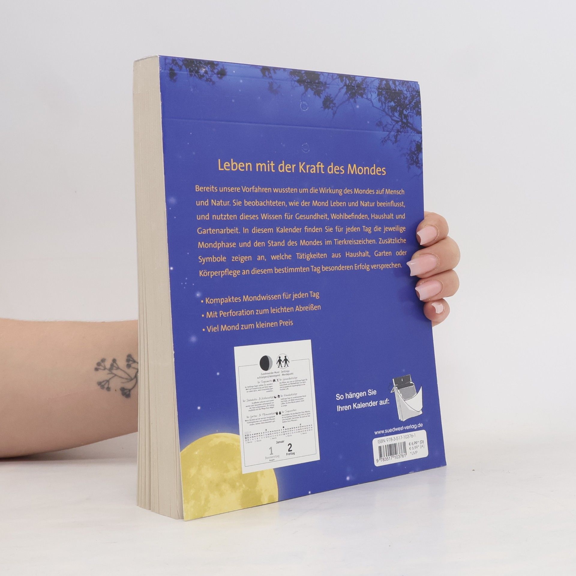 Anna Mühlbauer Der Mond 2026 - Tagesabreißkalender