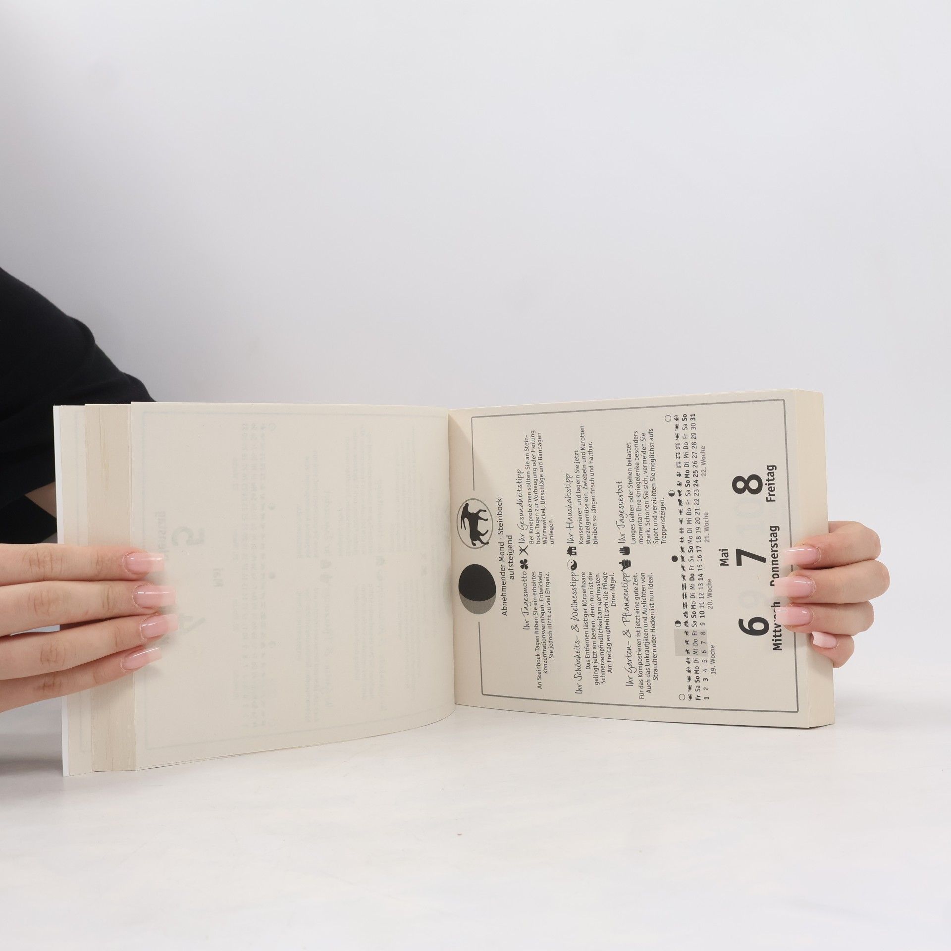 Anna Mühlbauer Der Mond 2026 - Tagesabreißkalender
