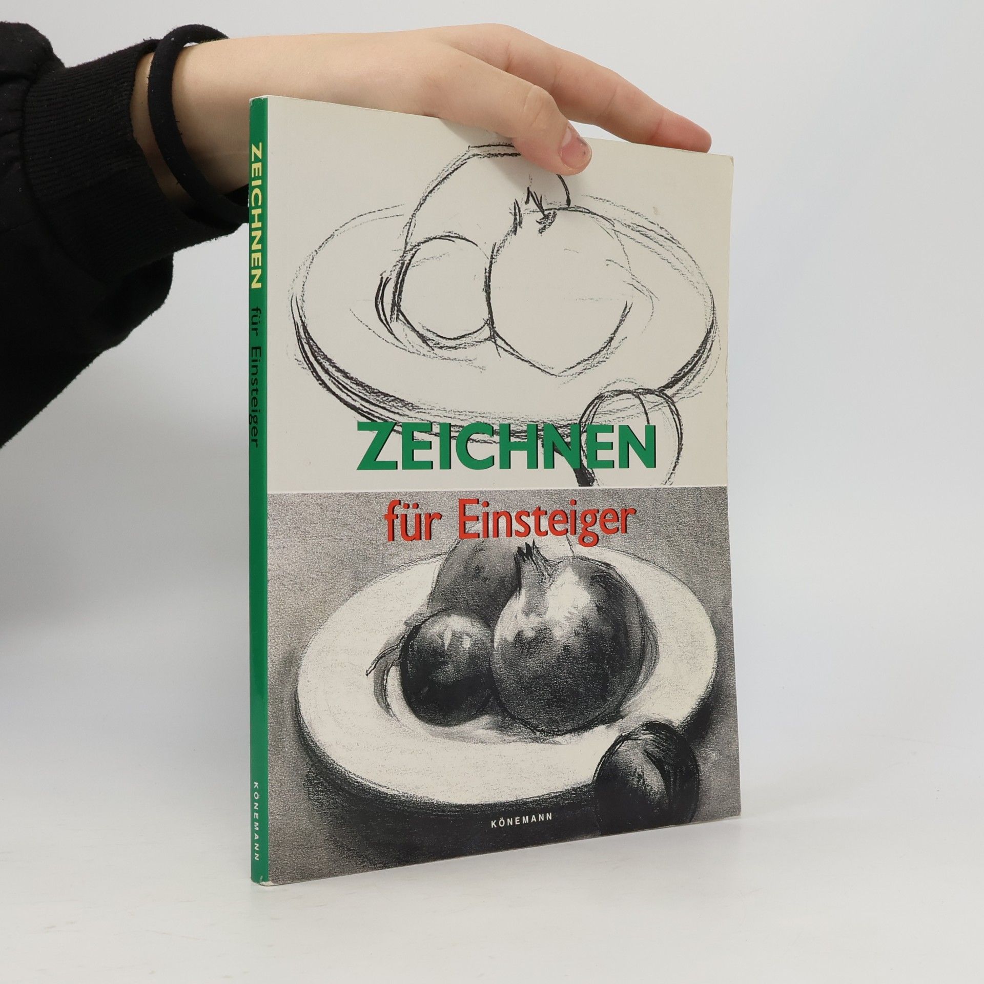 Francisco Asensio Cerver Zeichnen für Einsteiger