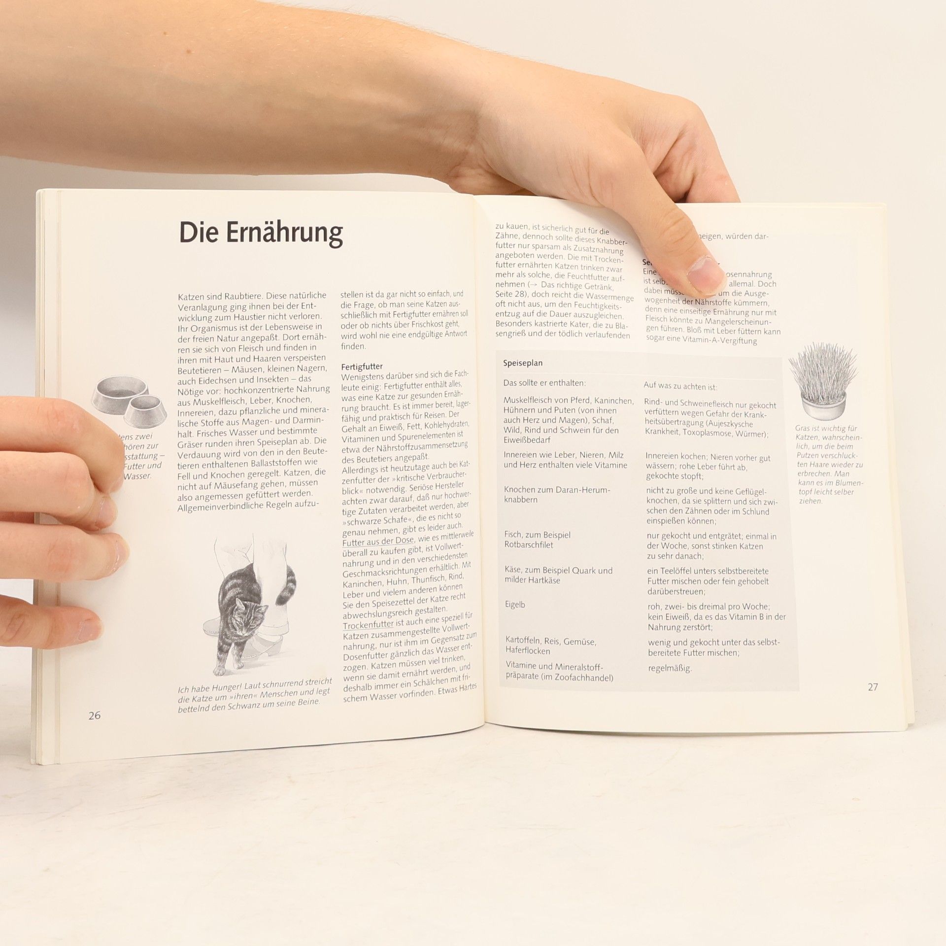 Katrin Behrend Katzen richtig pflegenund verstehen