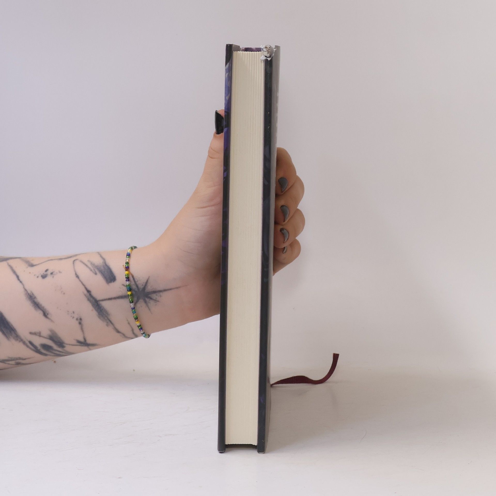Peter S. Beagle Poslední jednorožec
