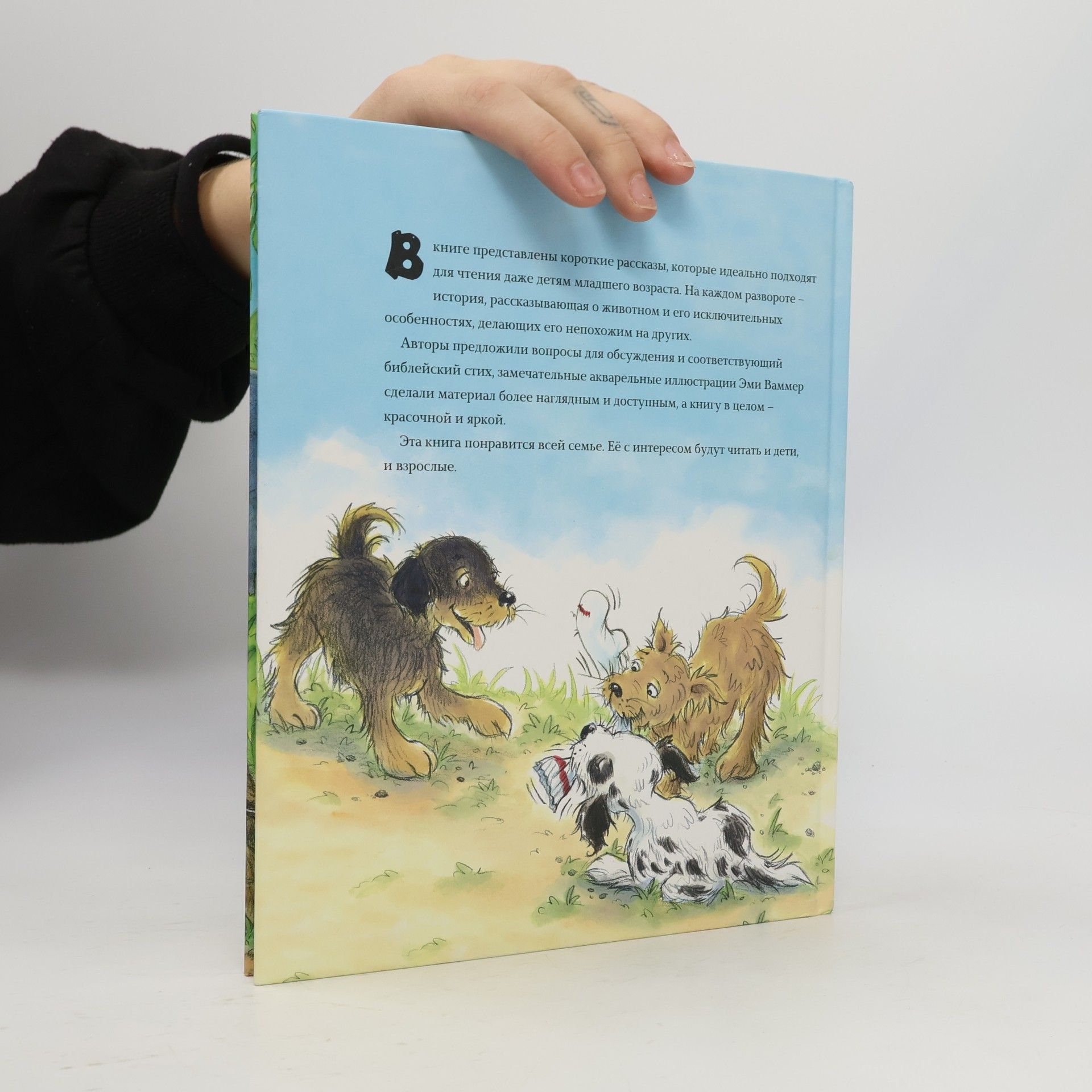 Pamela Kennedy Большая книга маленьких историй о Божьем творении