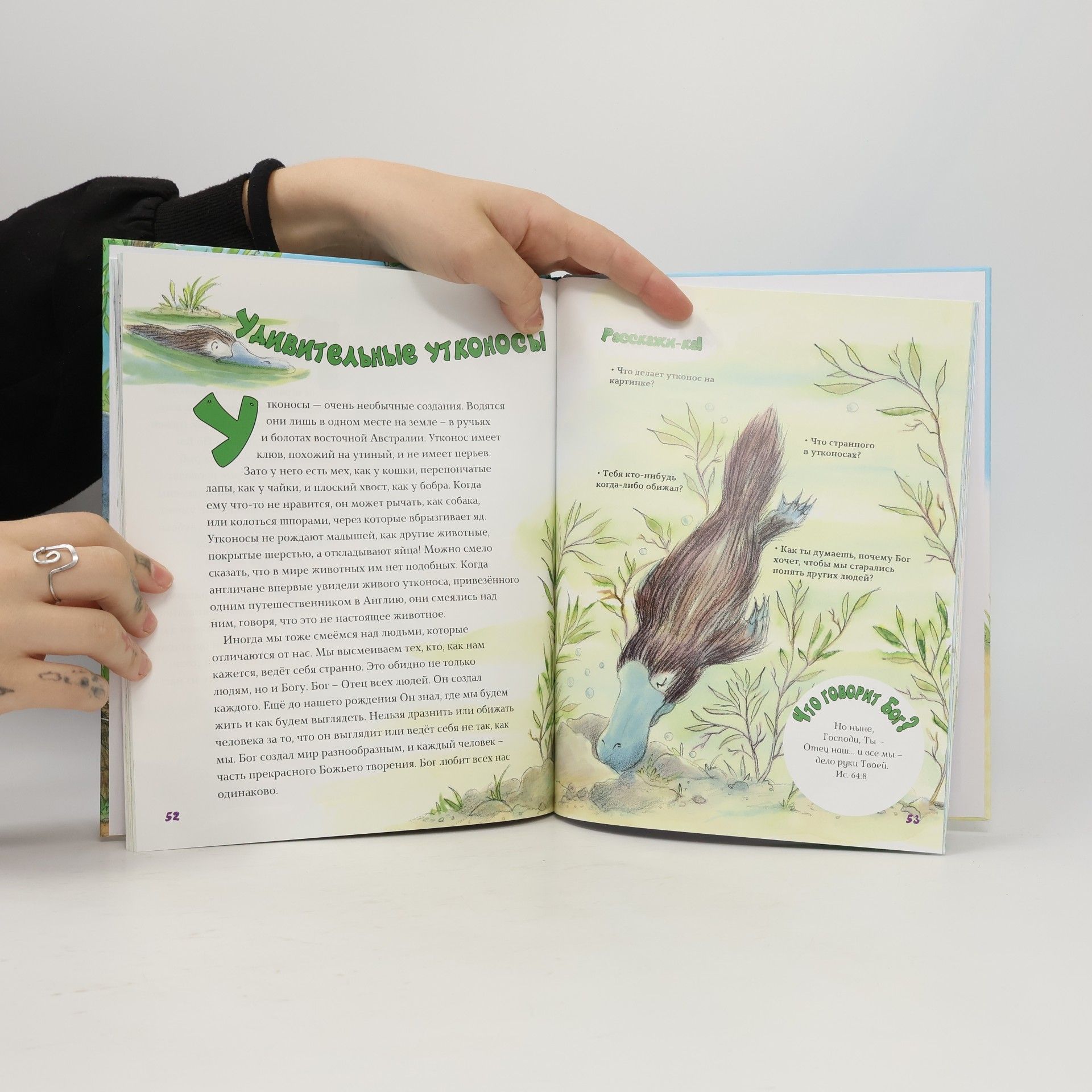 Pamela Kennedy Большая книга маленьких историй о Божьем творении