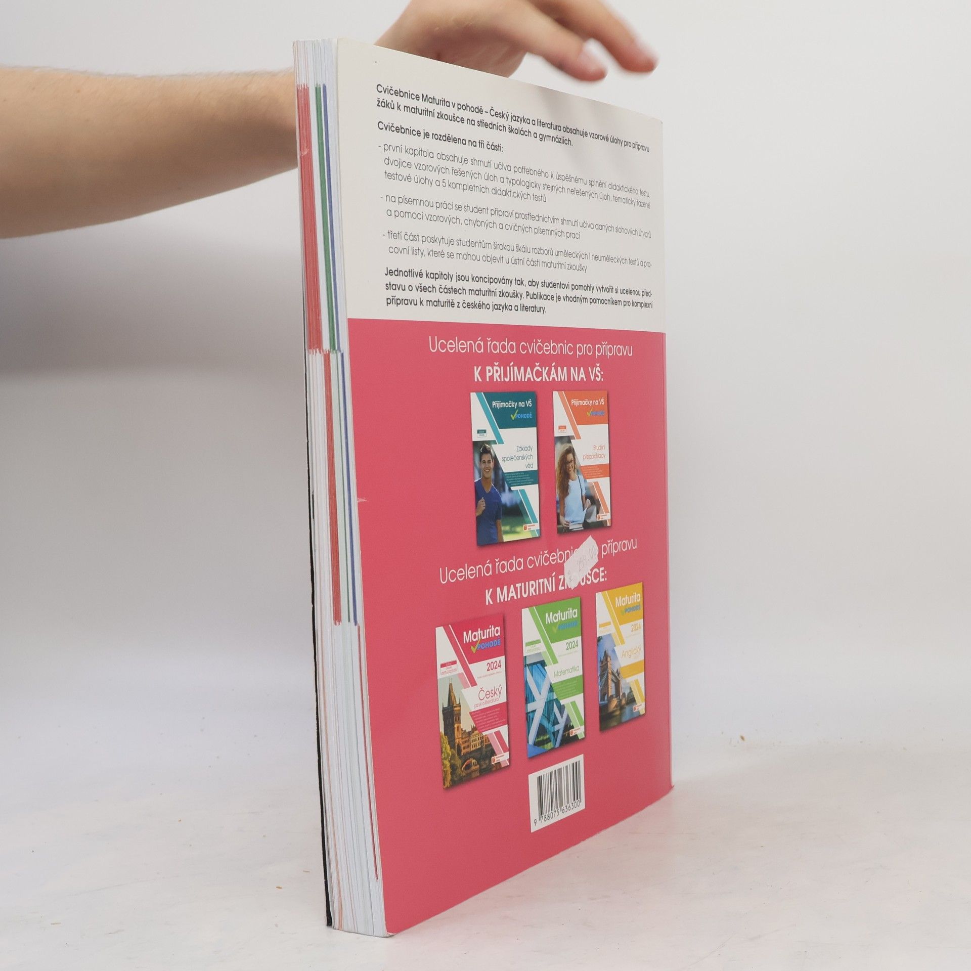 Autorenkollektiv Maturita v pohodě. Český jazyk a literatura
