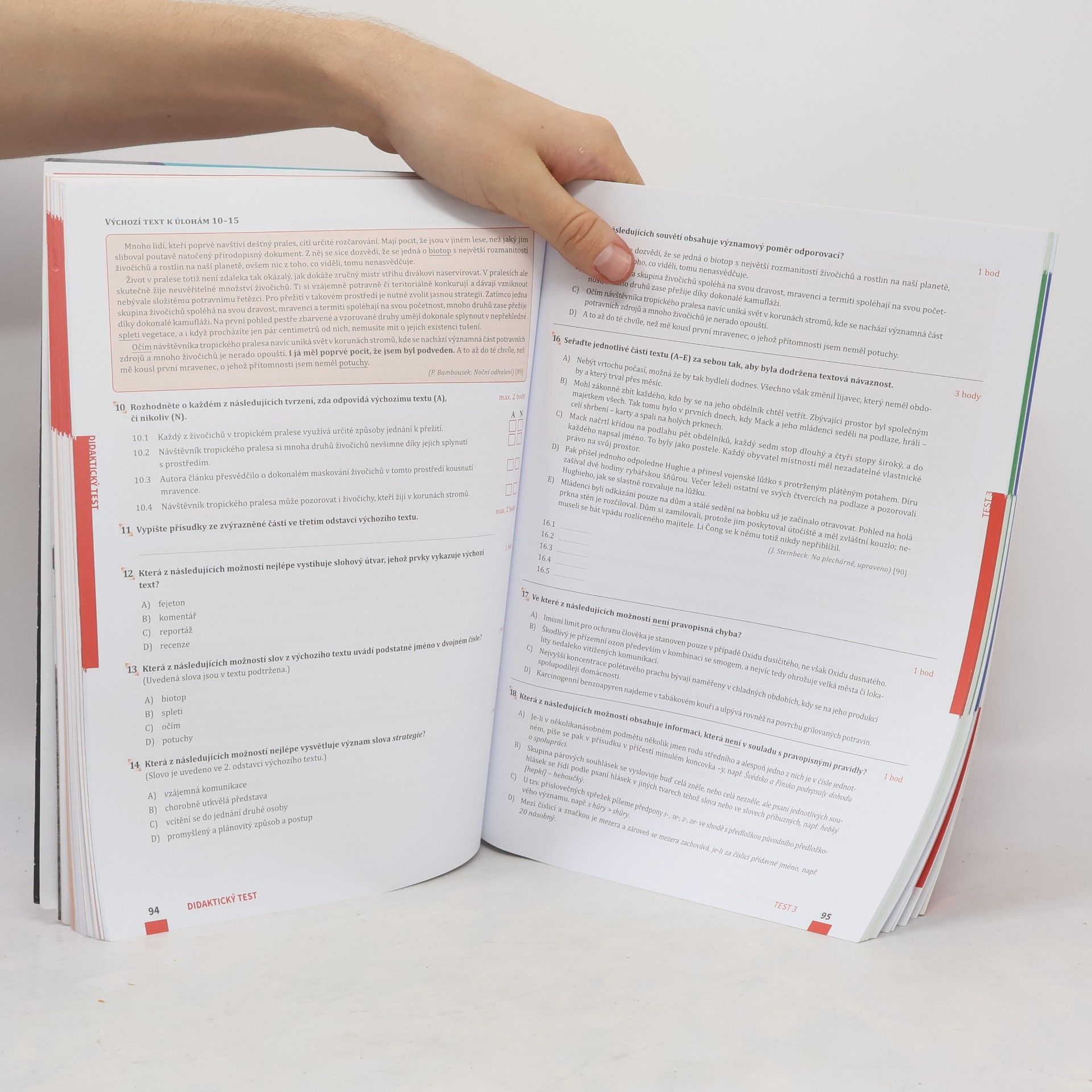 Autorenkollektiv Maturita v pohodě. Český jazyk a literatura