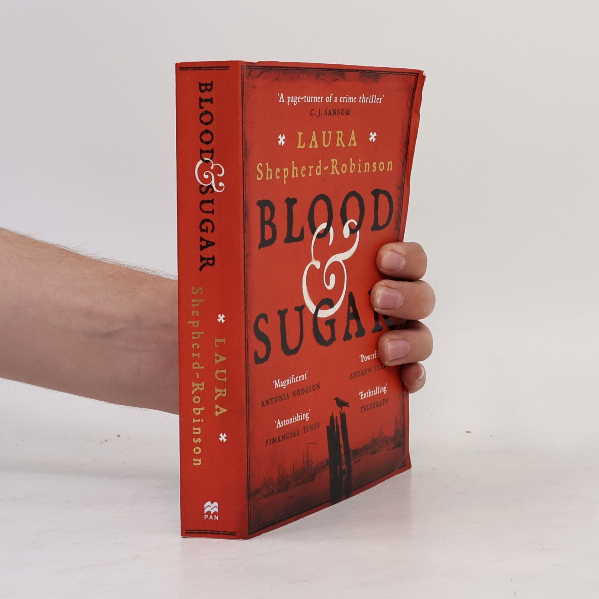 Laura Shepherd Robinson Blood & Sugar